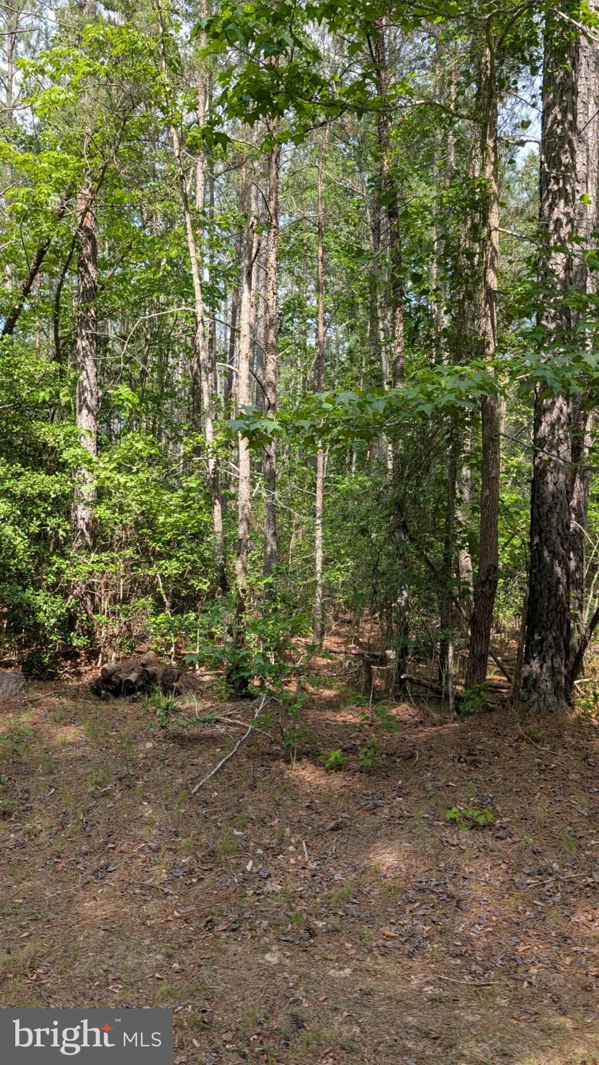 Lot 39 EAGLE VISTA LANE