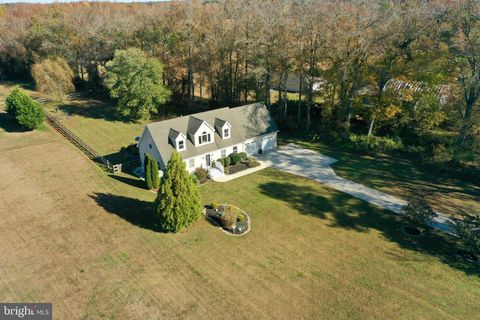 31780 PHILLIPS ROAD SELBYVILLE DE 19975