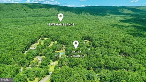 TRACT 4 JACKSON ROAD STROUDSBURG PA 18360