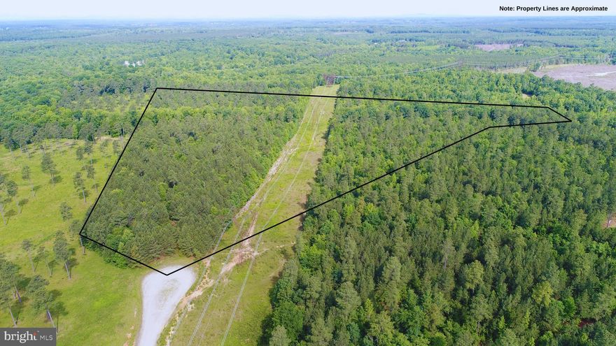 Welcome to your own private estate! This 40-acre parcel is located in the cul-de-sac of Brooke Ridge Estates. This community is gated and just one mile away from the Lake Anna State Park. This property can be subdivided to accommodate a family division per Spotsylvania County and HOA covenants. The covenants also allow livestock, combining the benefits of estate living with agricultural/equestrian use and the potential for creating a family compound. Bring plans for your dream home as the owner is a well-known builder in the area. This property currently has a 4 bedroom conventional perc site. Whether you dream of establishing a family compound or a charming farm homestead, this property has endless potential. Don't miss out on this opportunity!