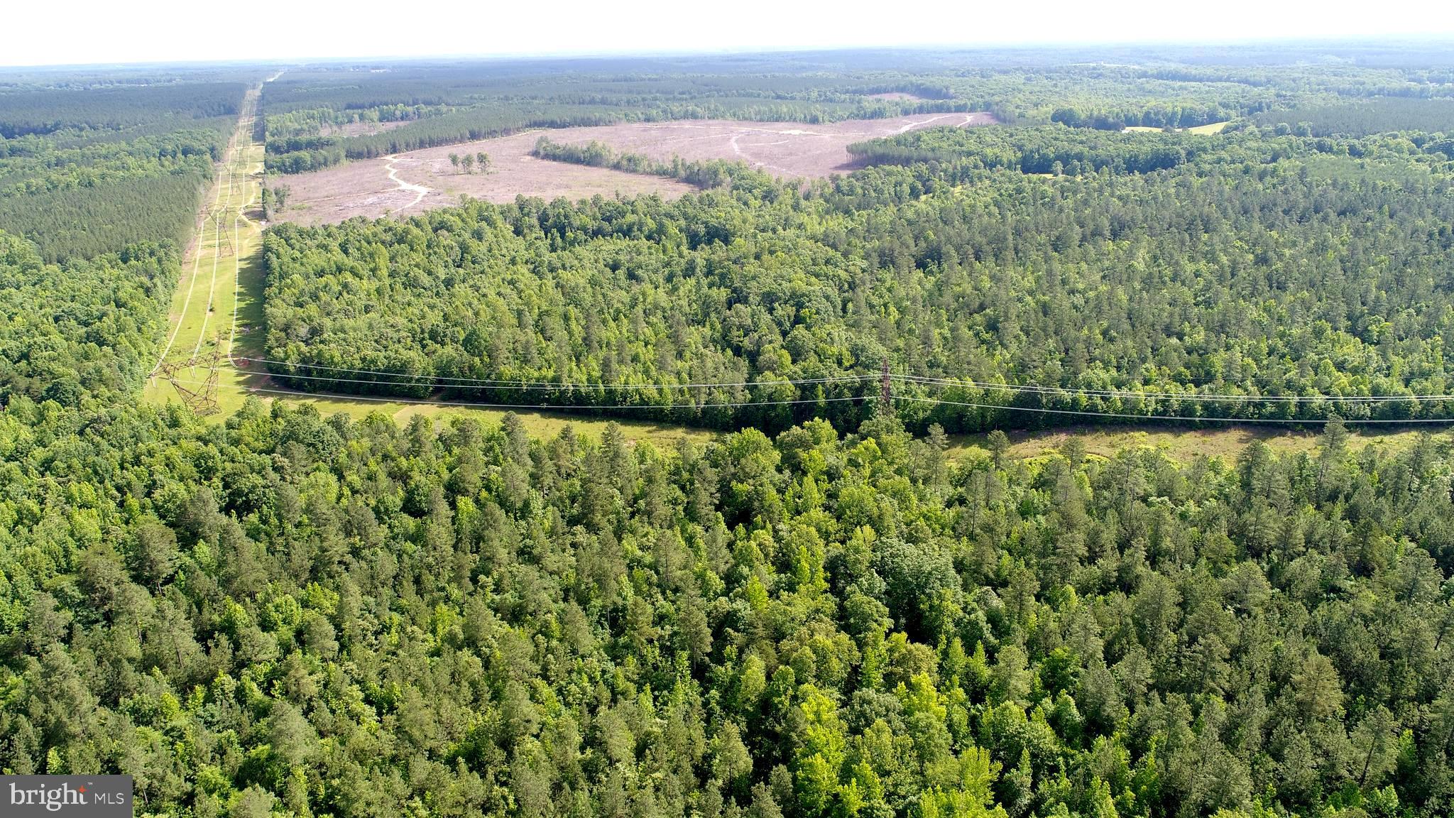 13251 BROOKE RIDGE LANE