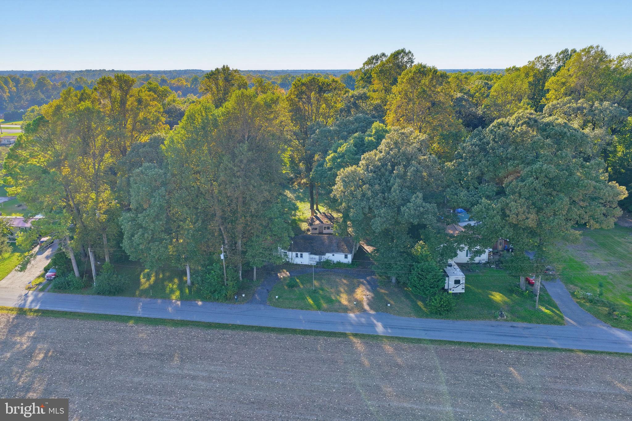 11274 CURT DOGG ROAD