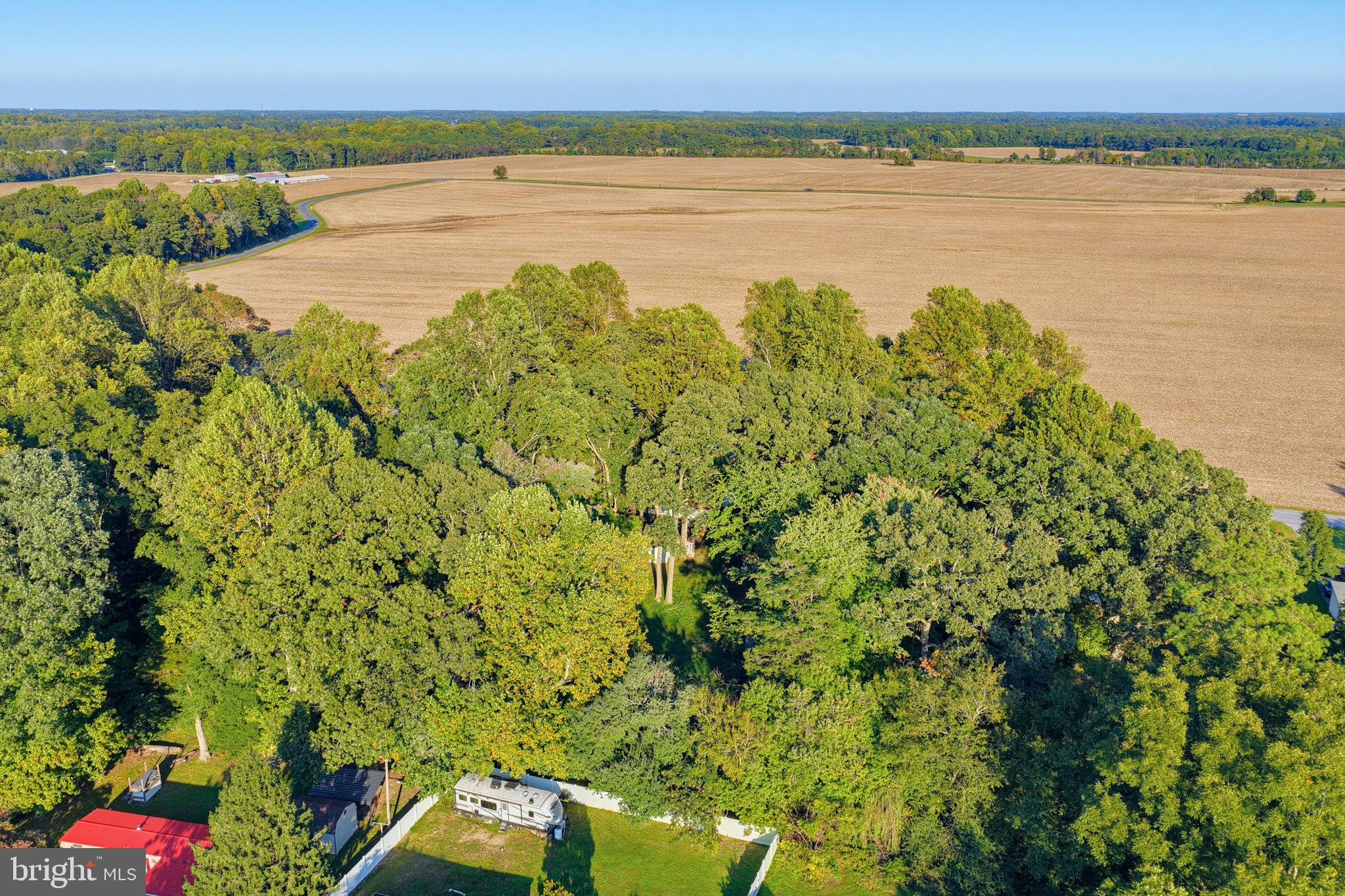 11274 CURT DOGG ROAD