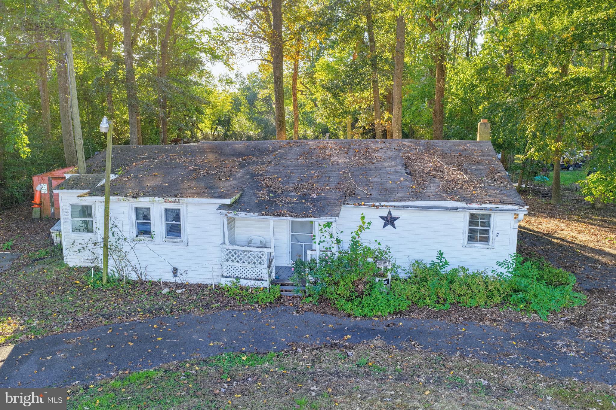 11274 CURT DOGG ROAD