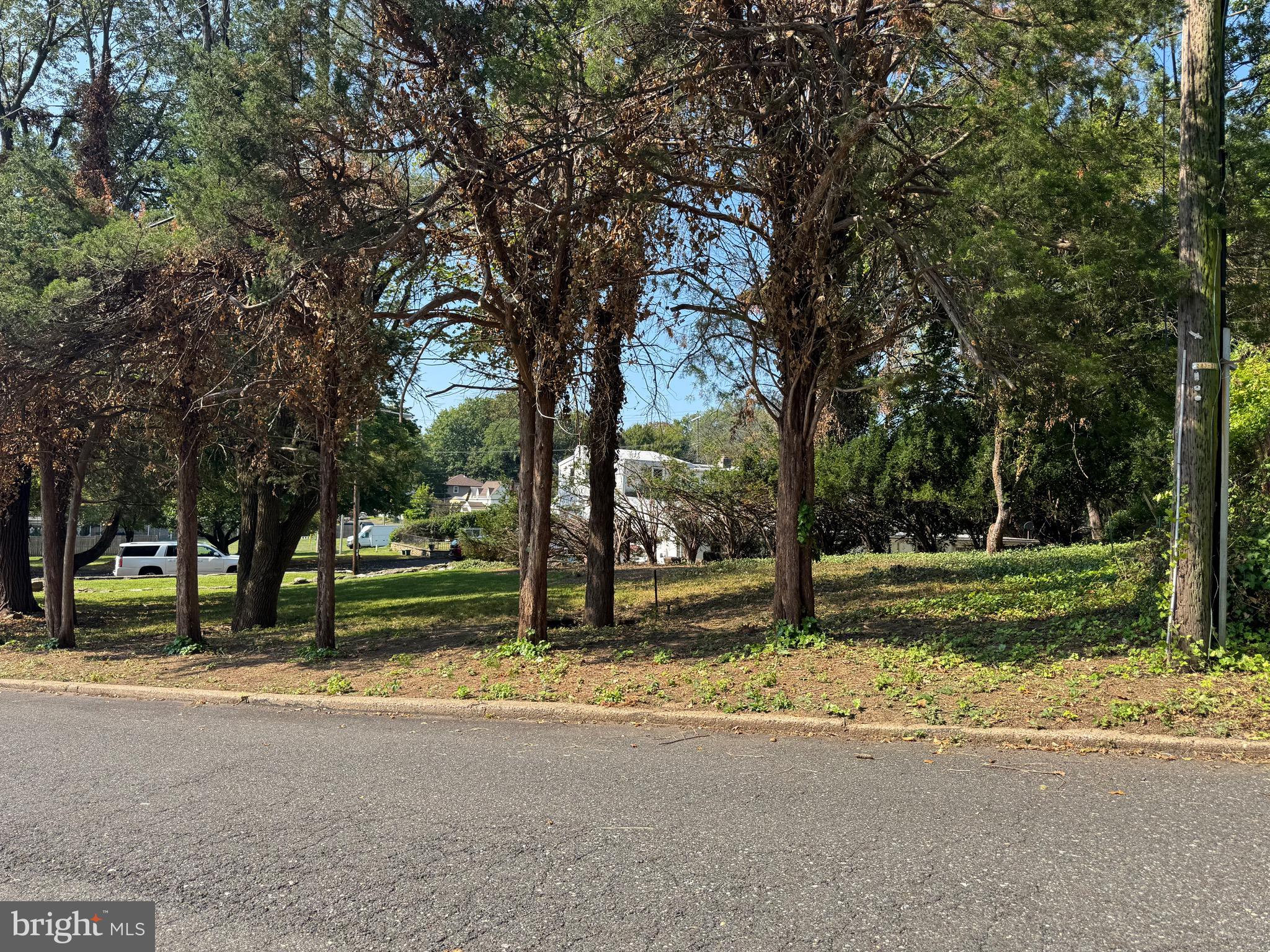 MAPLEVALE - Residential