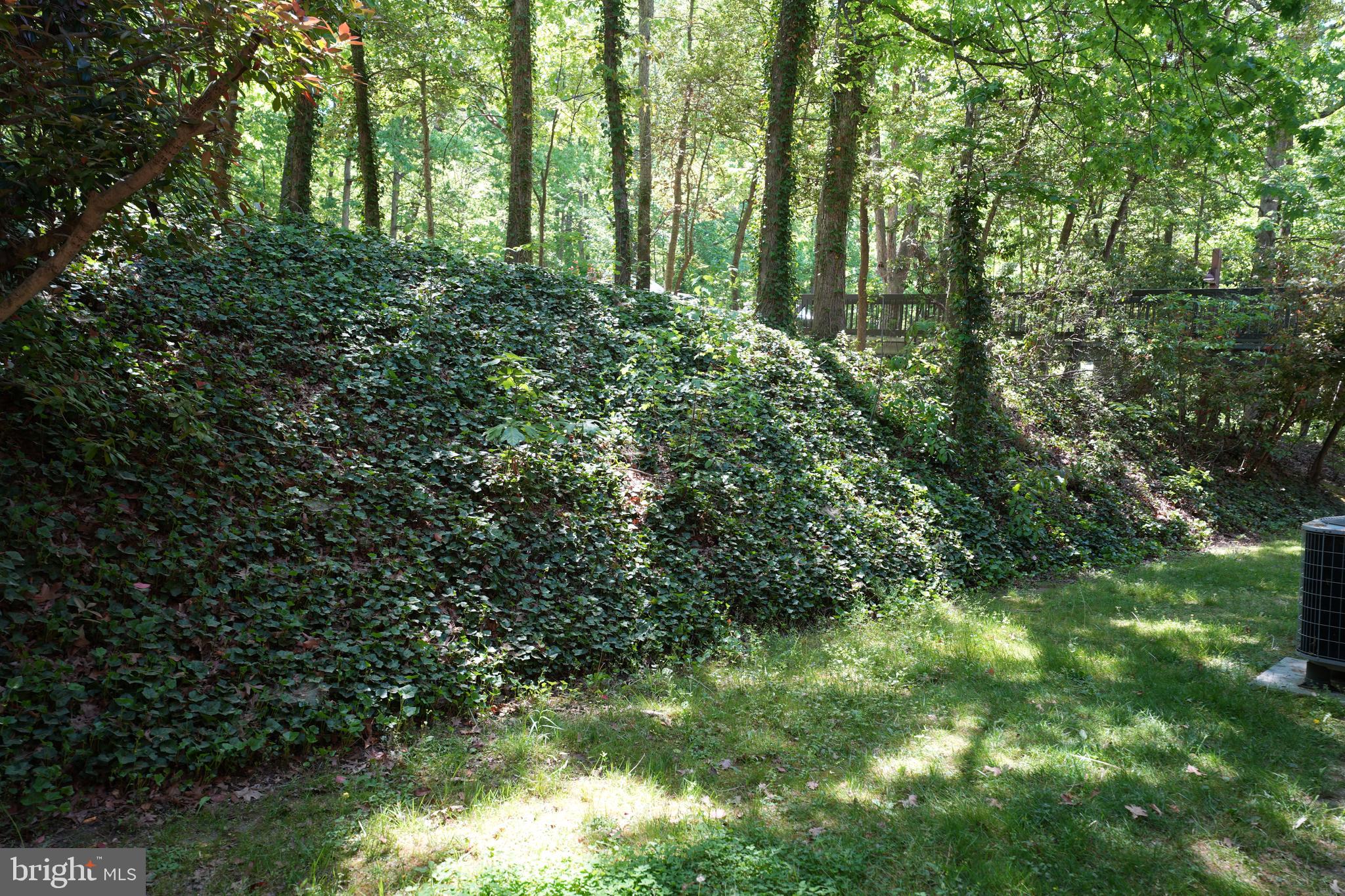 WILDEWOOD - Residential Lease