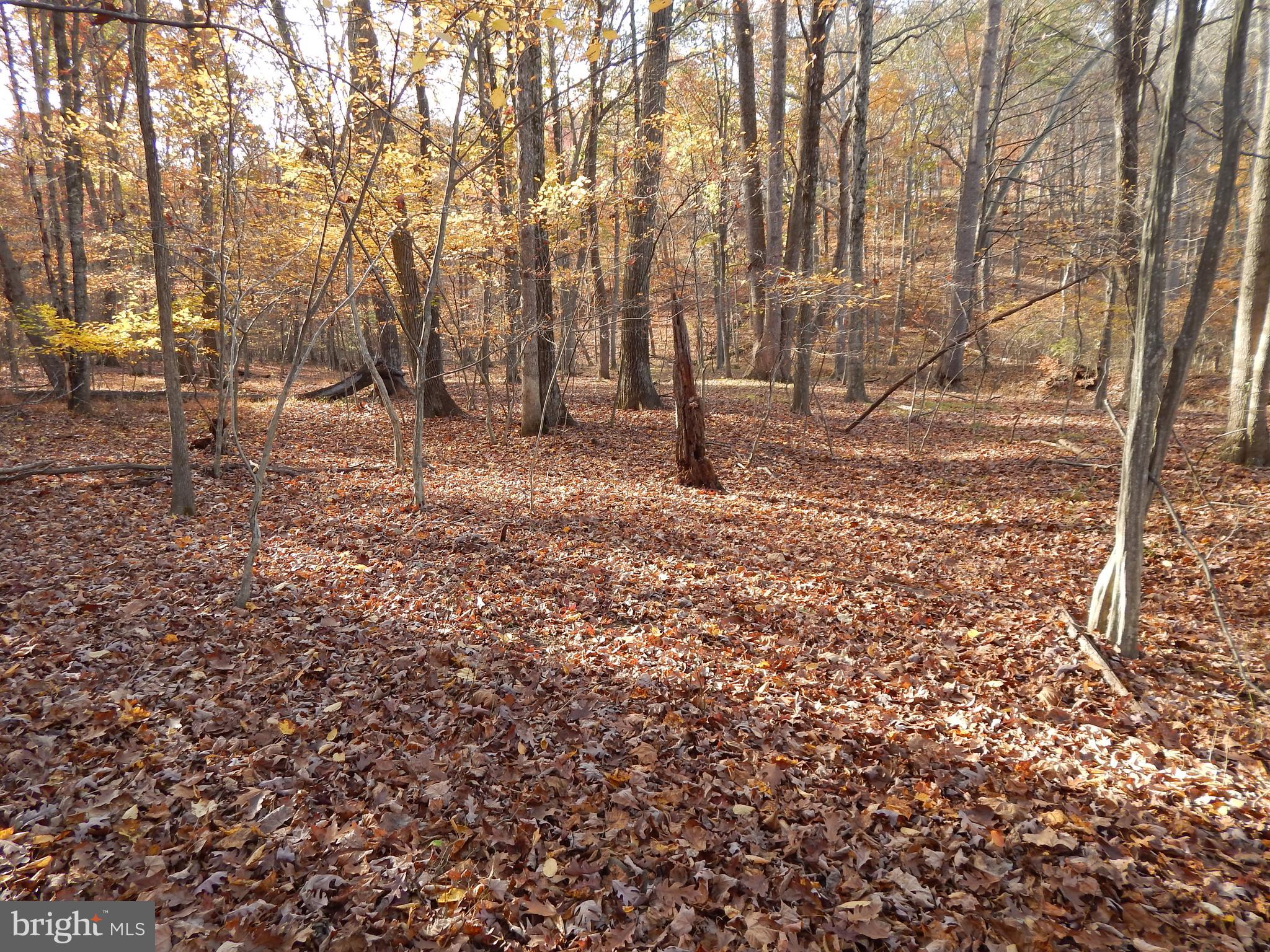 COLONIAL VILLAGE - Land