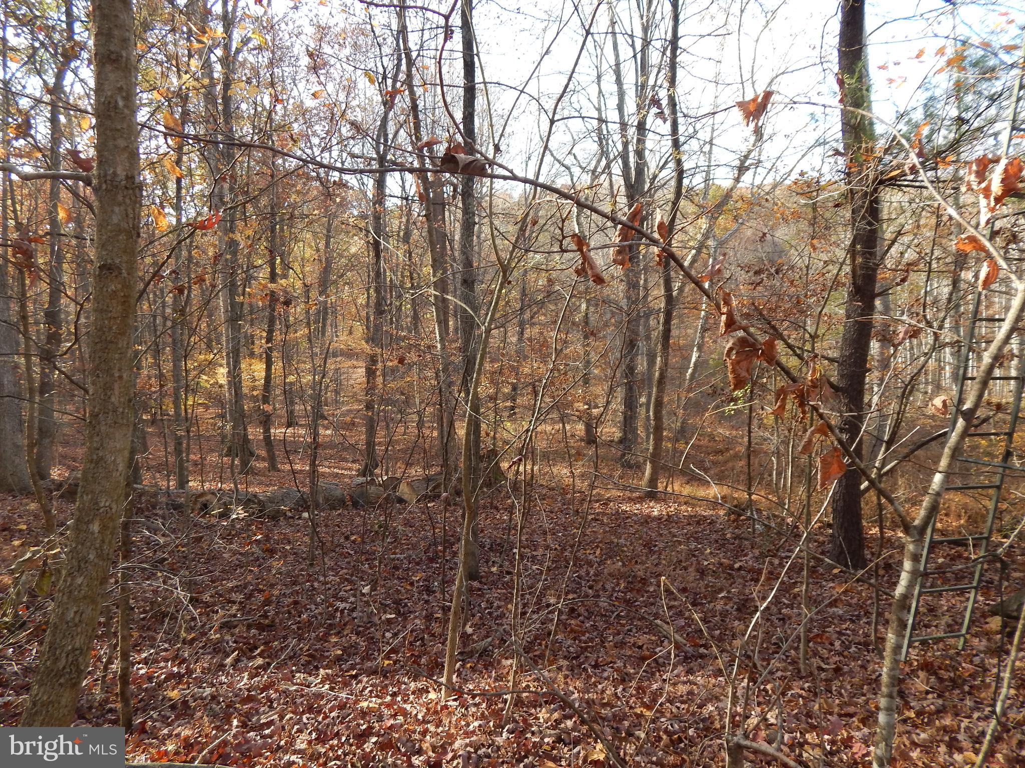 COLONIAL VILLAGE - Land