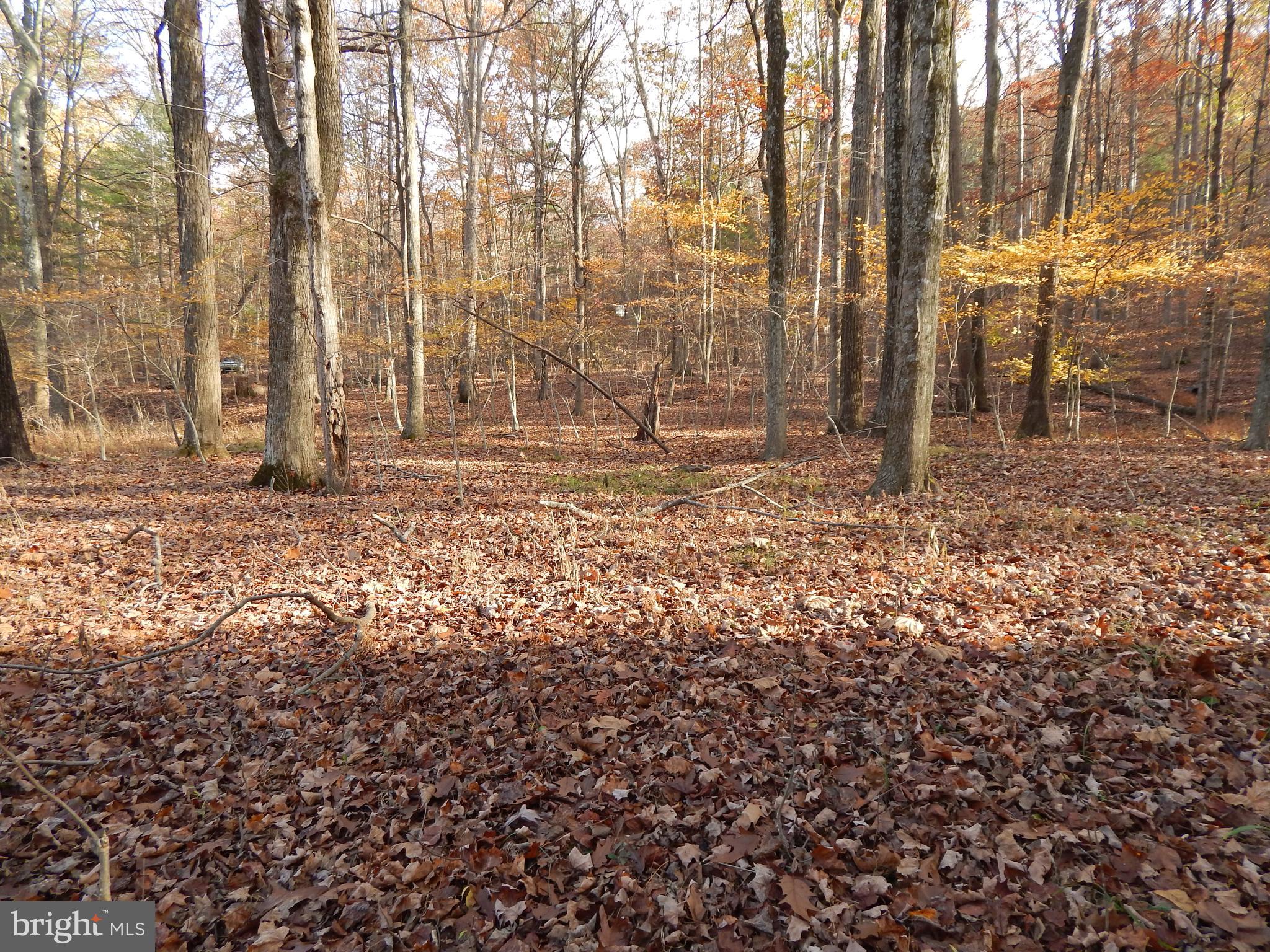 COLONIAL VILLAGE - Land