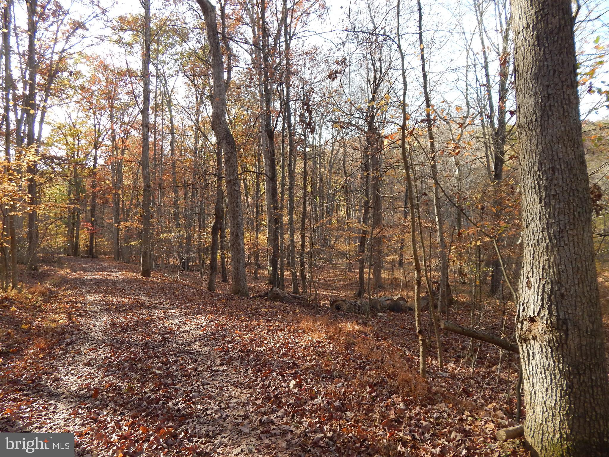 COLONIAL VILLAGE - Land