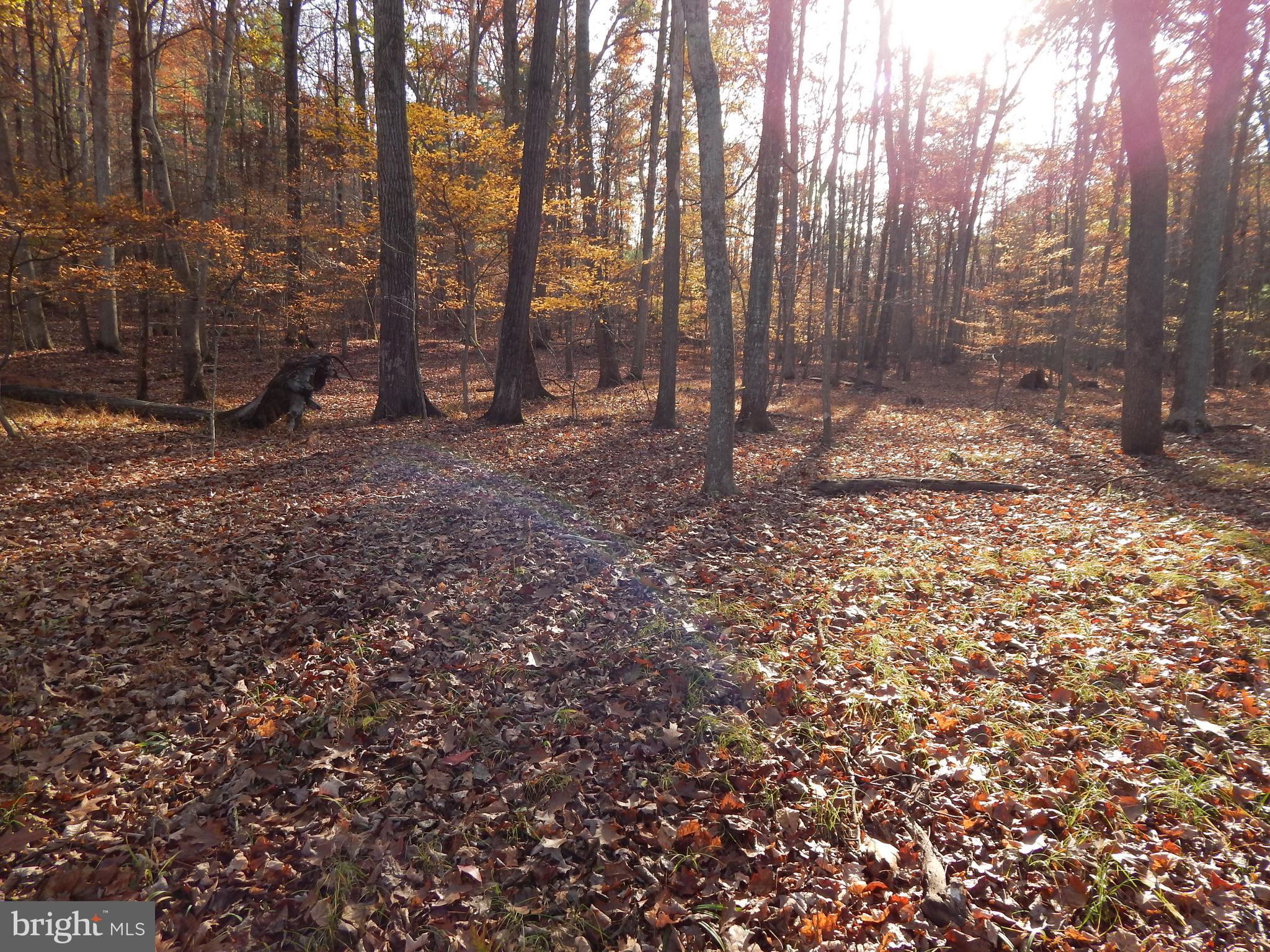 COLONIAL VILLAGE - Land