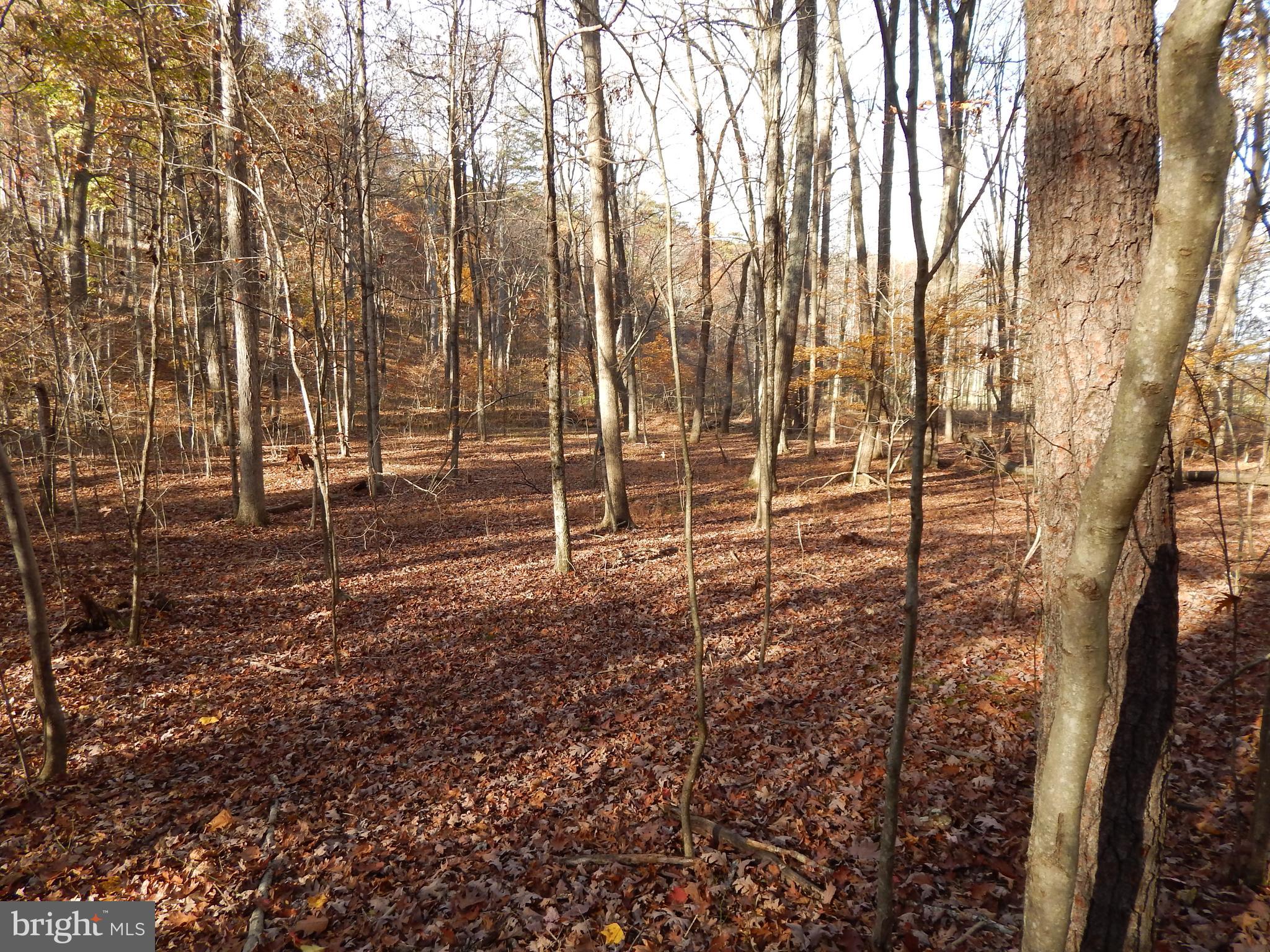 COLONIAL VILLAGE - Land