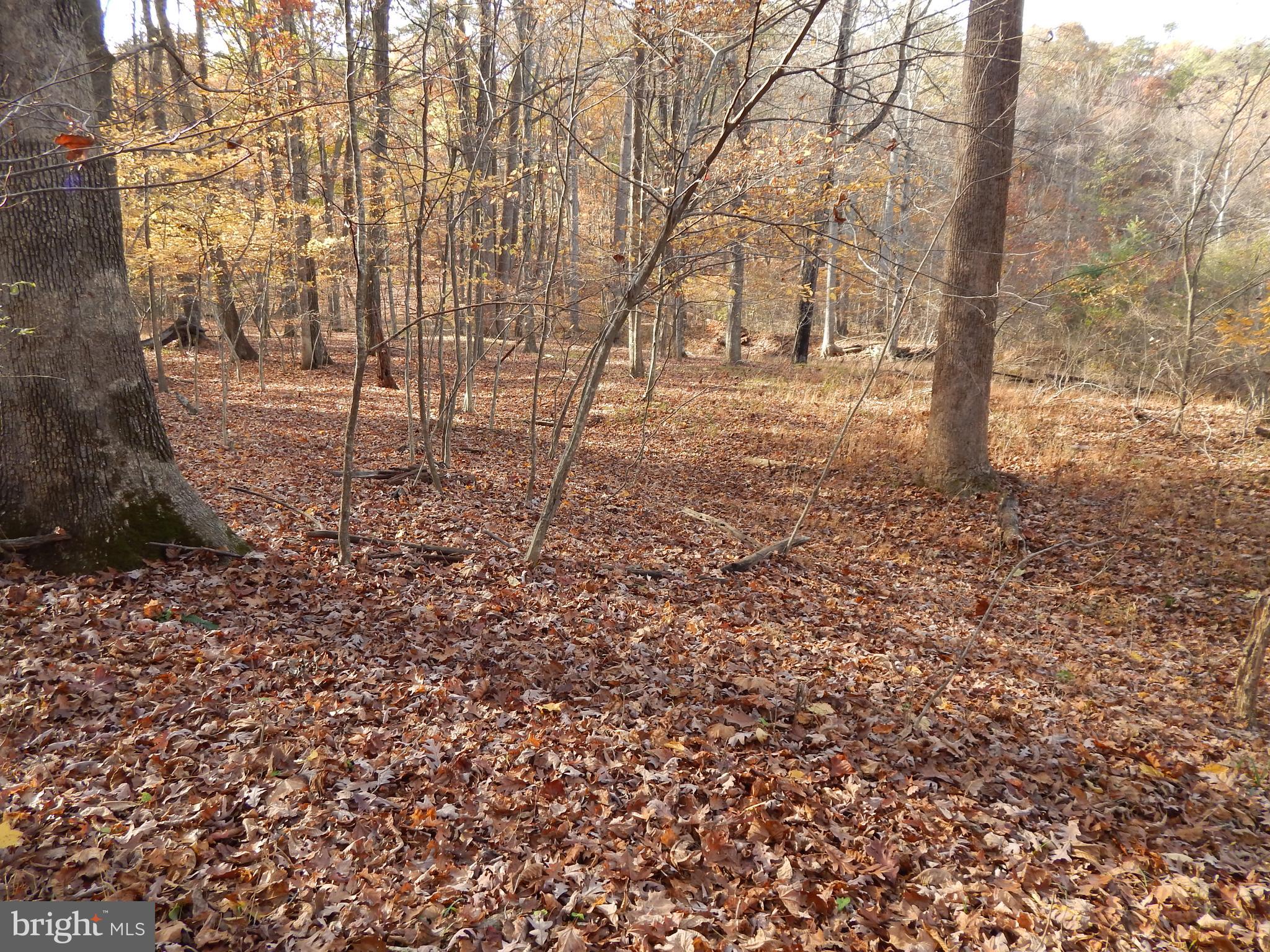 COLONIAL VILLAGE - Land