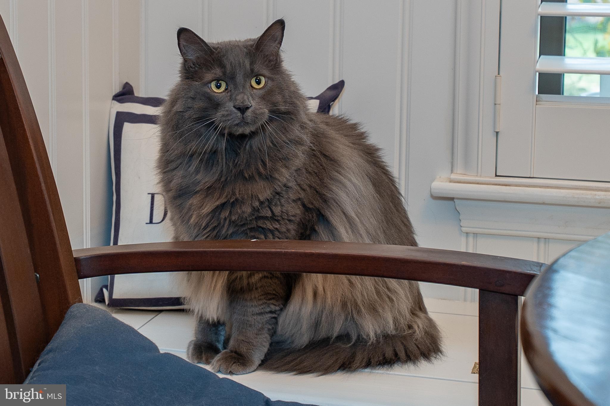 CHESTERBROOK - Residential