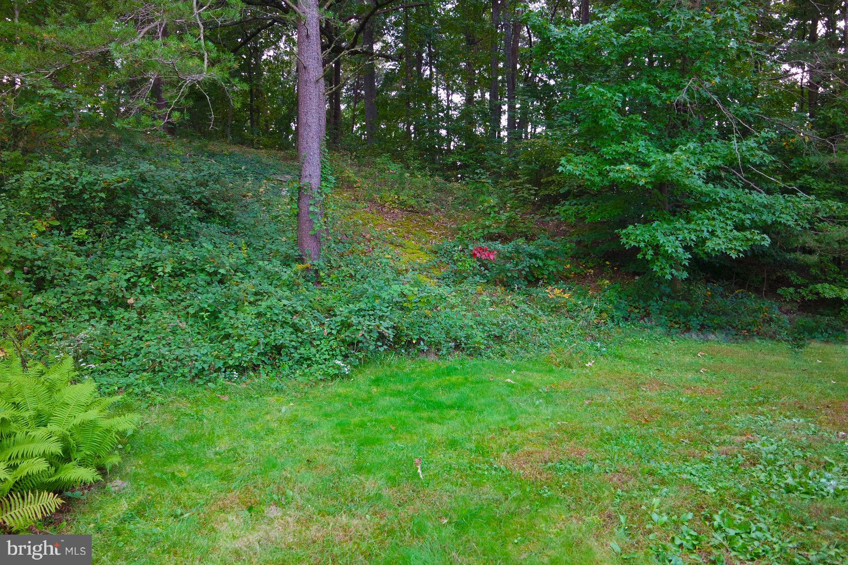 POHICK ESTATES - Residential