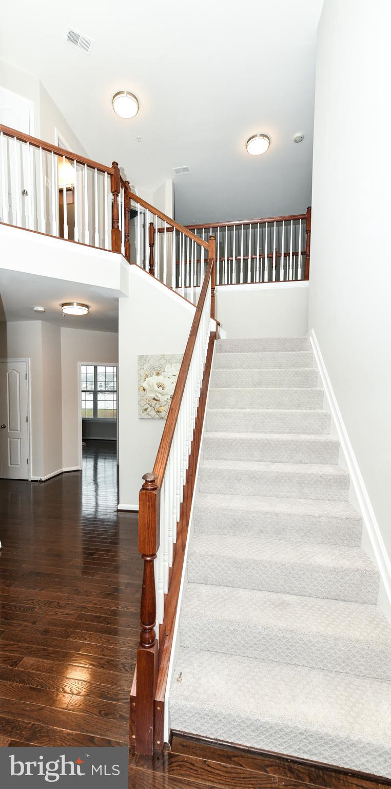 LAKEVIEW AT BRANDYWINE - Residential