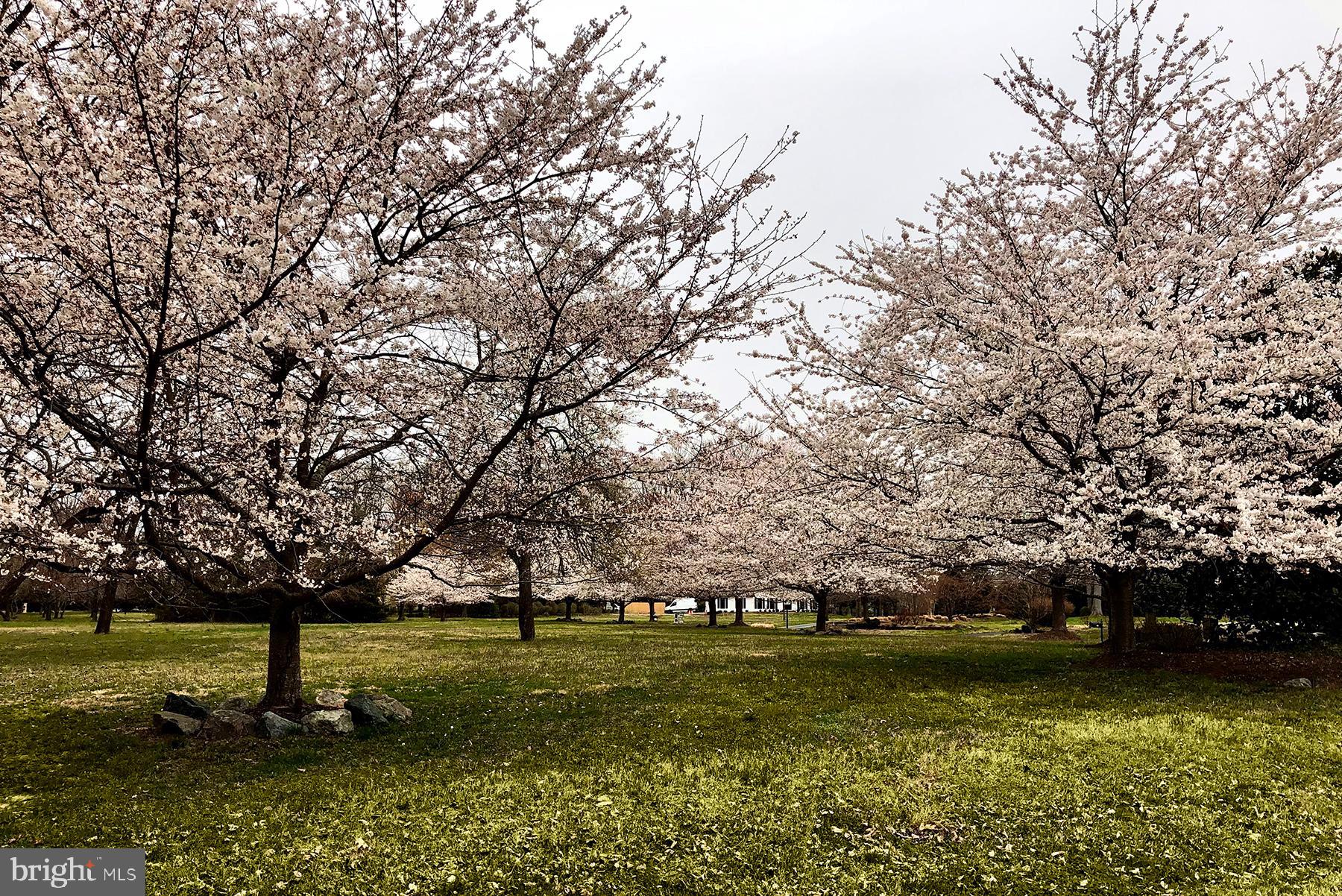 SEVERNSIDE - Residential