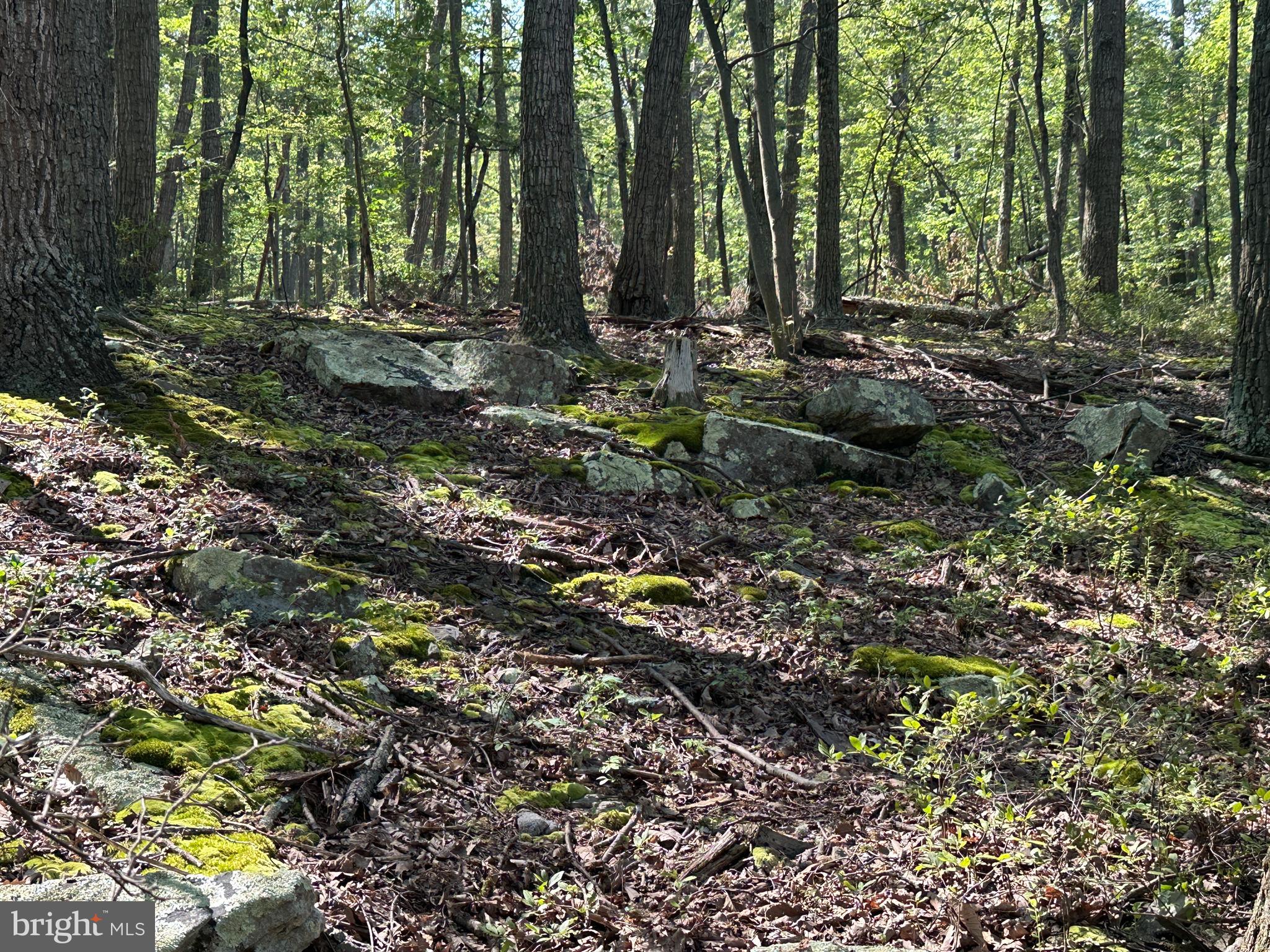 CABIN AT CAPON BRIDGE - Land