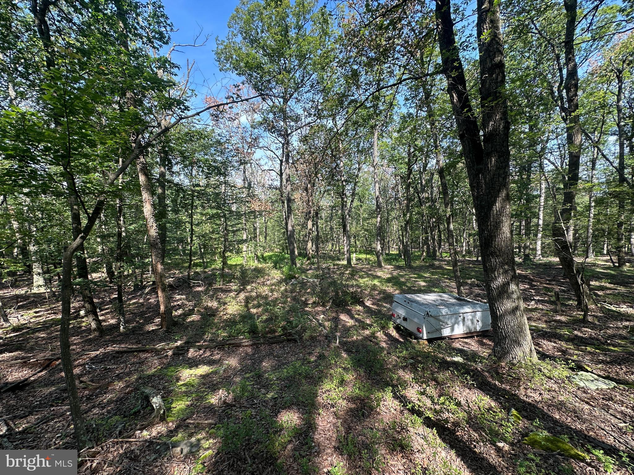 CABIN AT CAPON BRIDGE - Land