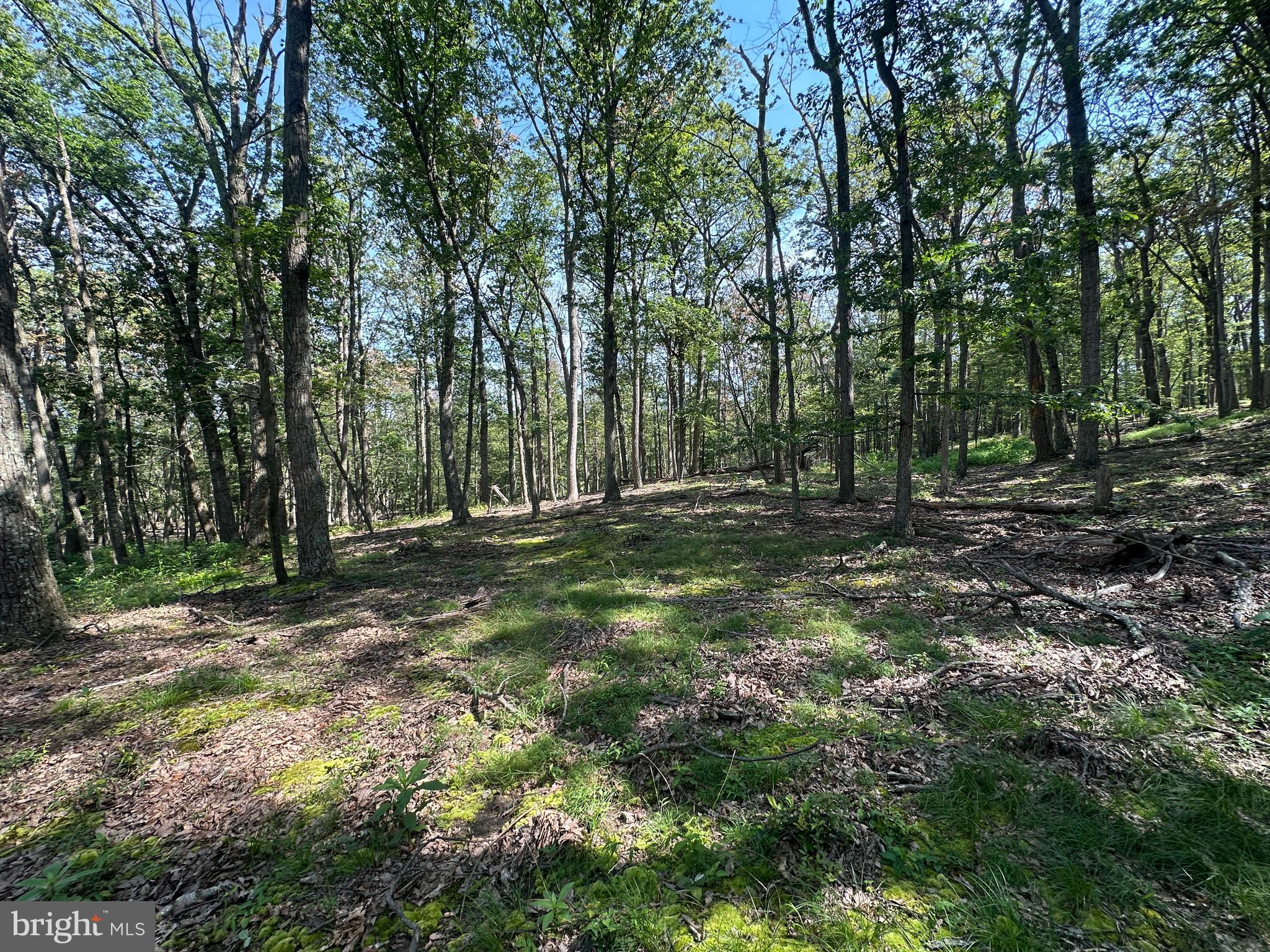 CABIN AT CAPON BRIDGE - Land