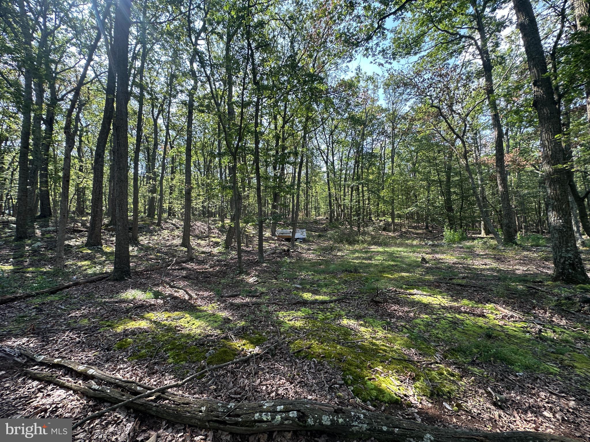 CABIN AT CAPON BRIDGE - Land
