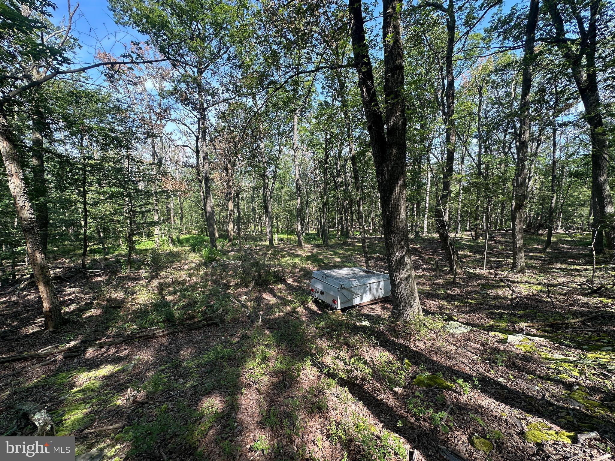 CABIN AT CAPON BRIDGE - Land
