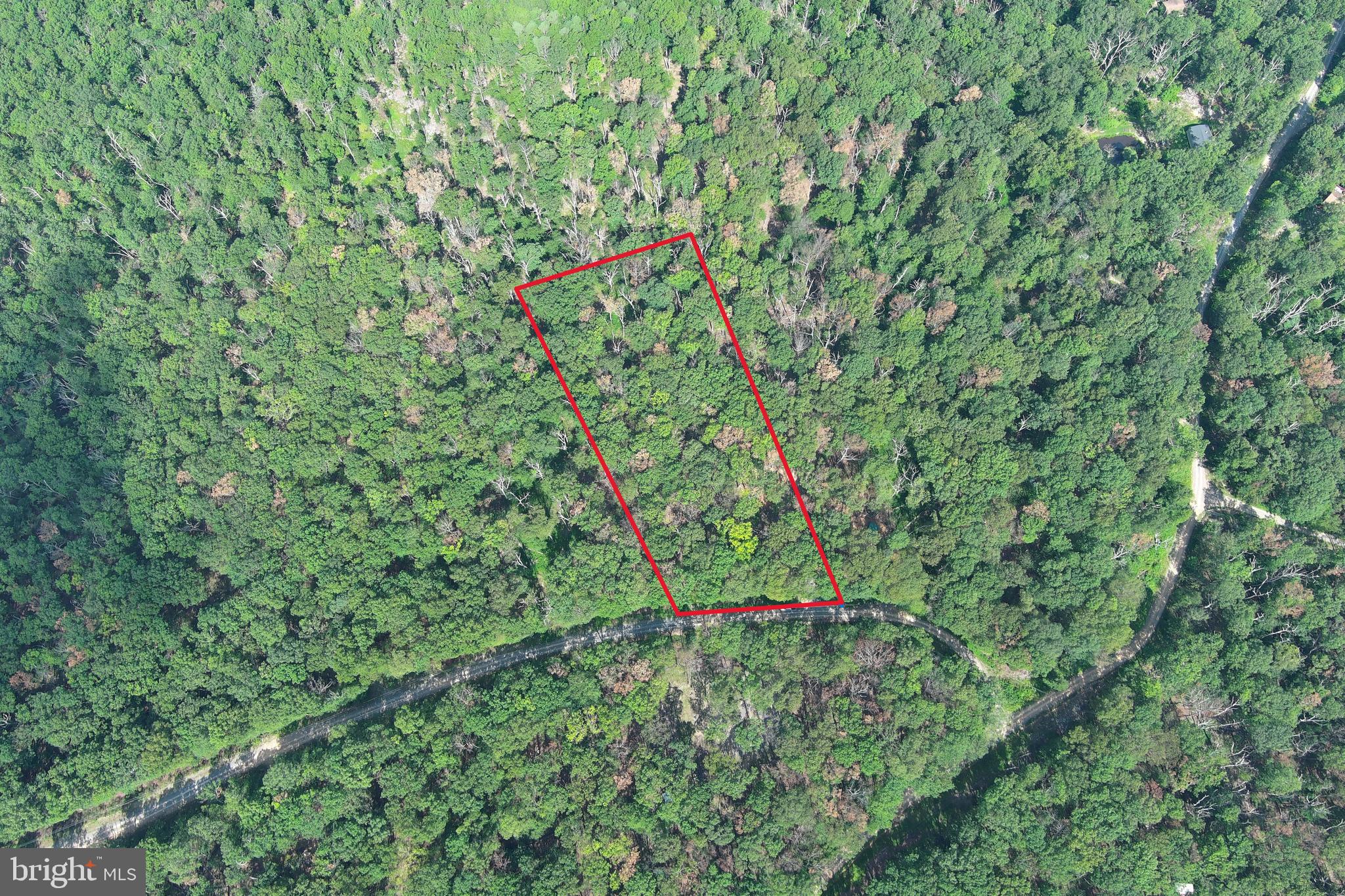 CABIN AT CAPON BRIDGE - Land