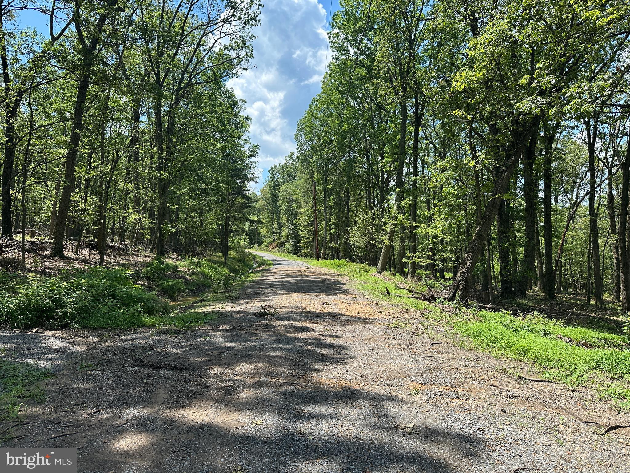 CABIN AT CAPON BRIDGE - Land