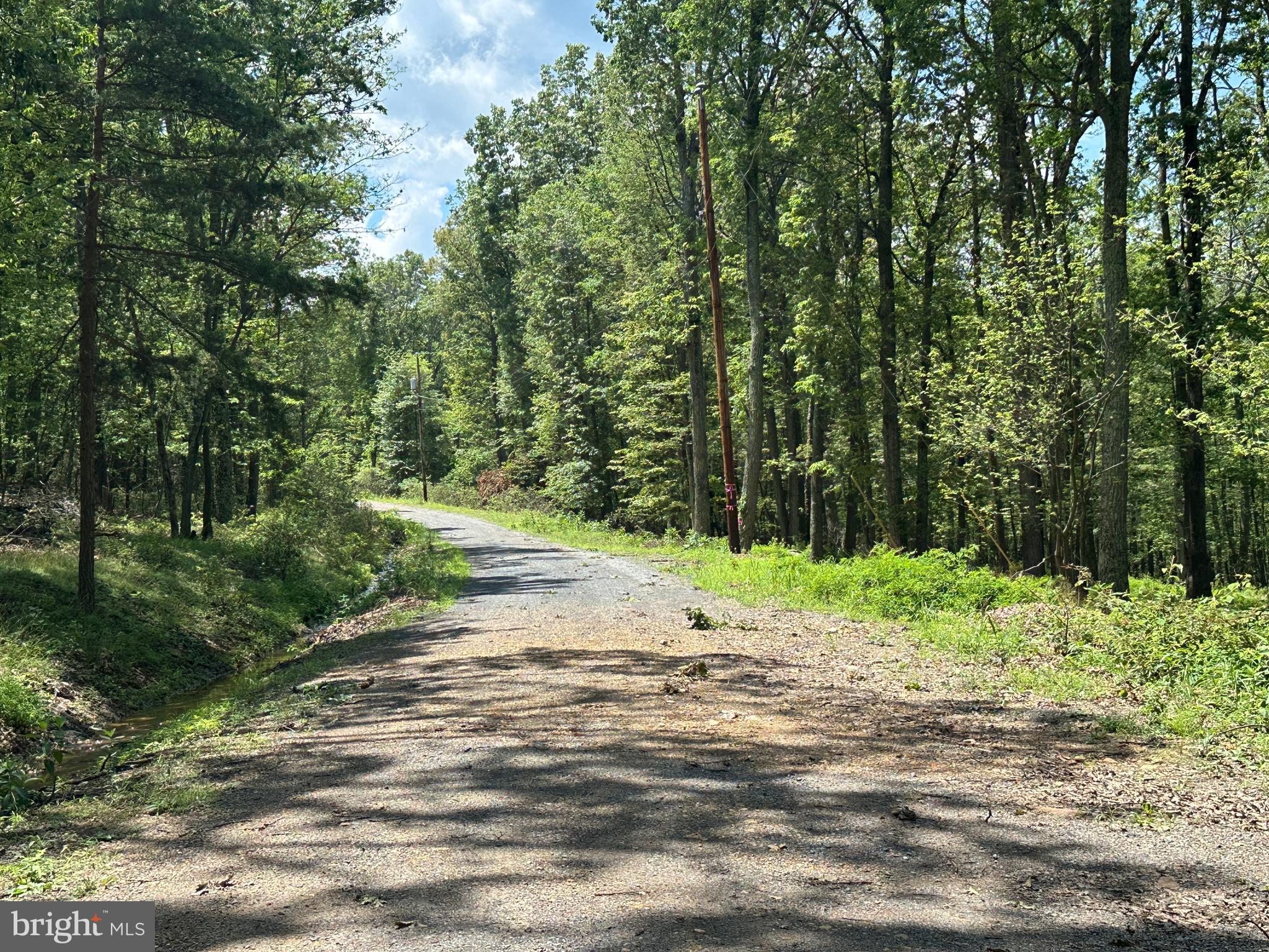 CABIN AT CAPON BRIDGE - Land