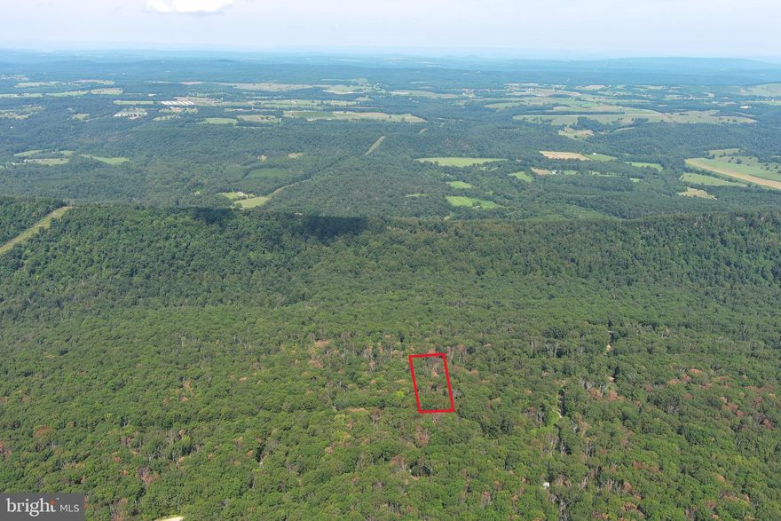 MOSSY OAK FOREST....NEARLY 4 ACRES OF 100% USABLE HARDWOOD FOREST COVERED IN TOWERING OAKS WITH MOSSY FOREST FLOOR. DRIVEWAY INSTALLED TO CAMPER/SHED PAD....GO A LITTLE DEEPER AND YOU'LL FIND A HIDDEN CAMP/BUILD SITE WITH ANCIENT POP UP CAMPER & STONE FIRE RING. THIS PROPERTY IS NEETO TORPEDO...TOO COOL FOR SCHOOL....A STEAL THAT WON'T PUT YOU IN THE SLAMMER.....IT'S EASY TO GET TO BUT HARD TO FIND.....ONLY 2 HOURS WEST OF THE WHITEHOUSE....LOW HOA FEE AND VERY MINIMAL RESTRICTIONS.....HUNT, CAMP, SHOOT, ATV'S, BUILD, AIRBNB......VERY PRETTY LAND THAT'S PRACTICALLY FLAT.....IT DOESN'T GET ANY BETTER FOR UNDER 30K IN THIS NECK OF THE WOODS.....COME GET IT!