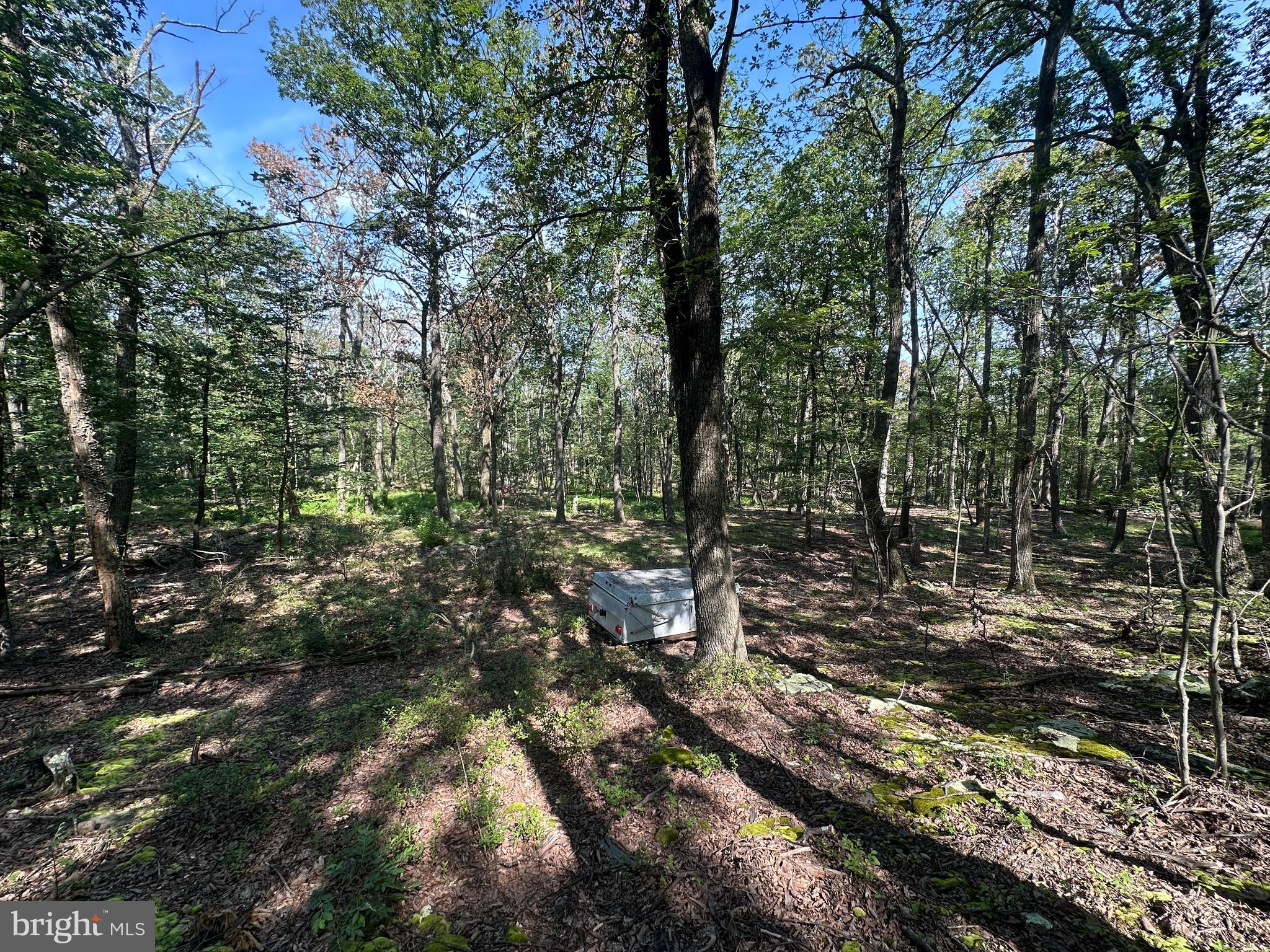 CABIN AT CAPON BRIDGE - Land