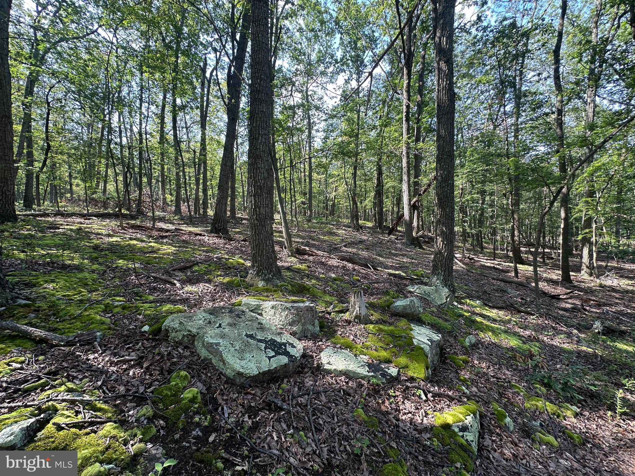 CABIN AT CAPON BRIDGE - Land