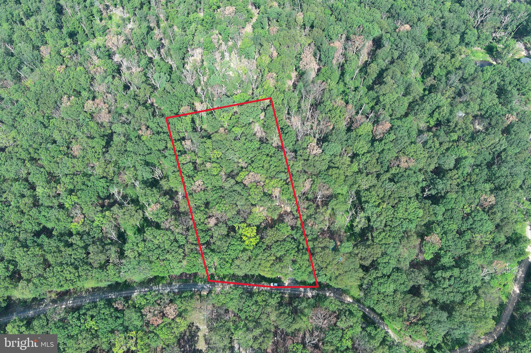 CABIN AT CAPON BRIDGE - Land