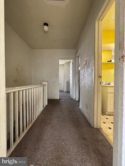 ELMWOOD PARK - Residential