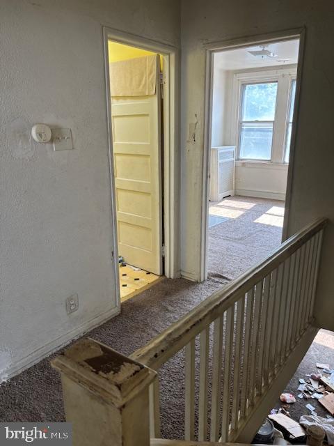 ELMWOOD PARK - Residential