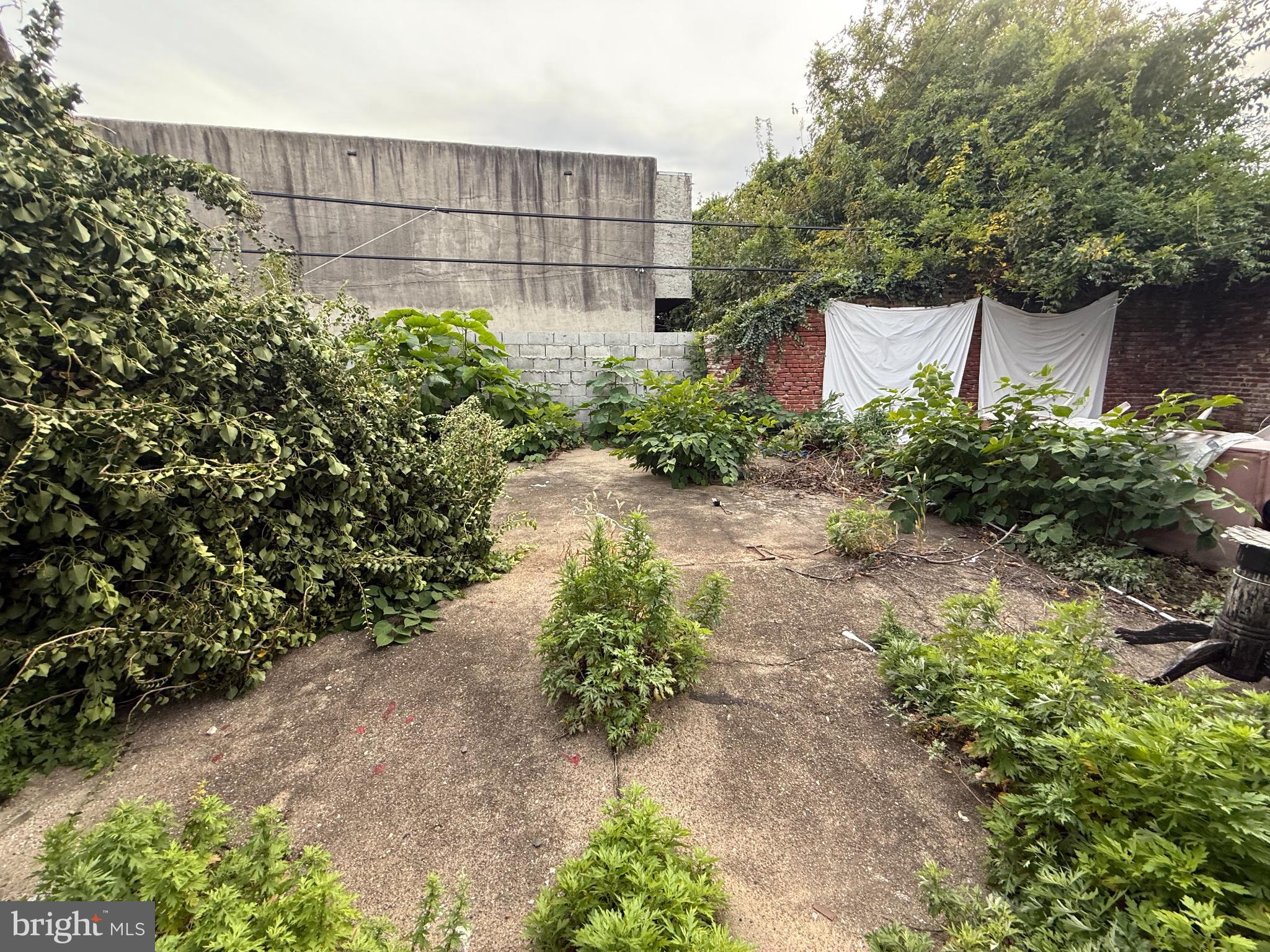 1204 W ROCKLAND STREET