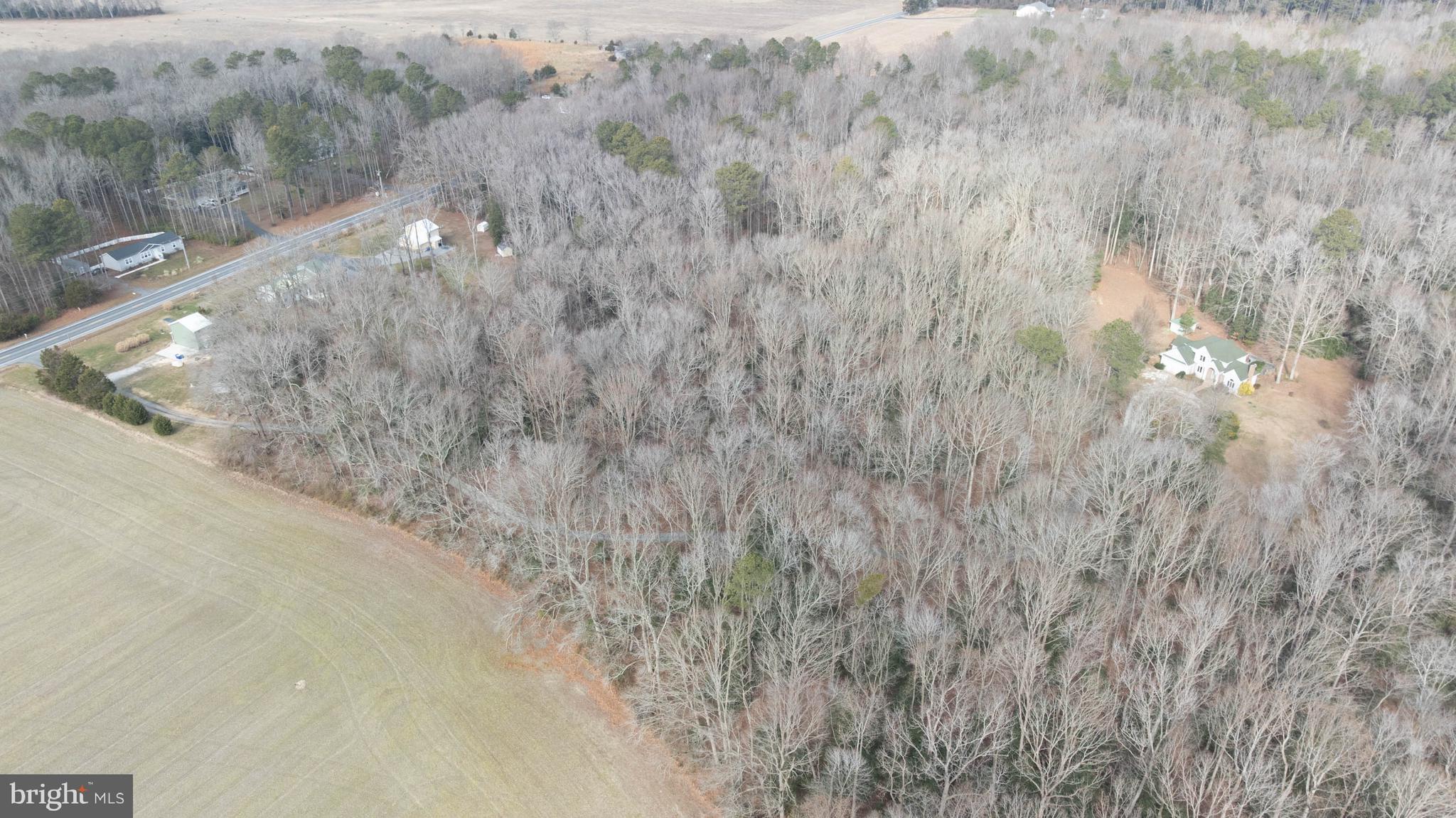 THE VINES OF SANDHILL - Residential