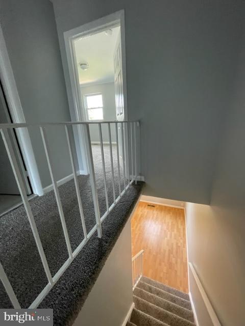 DALE CITY - Residential Lease