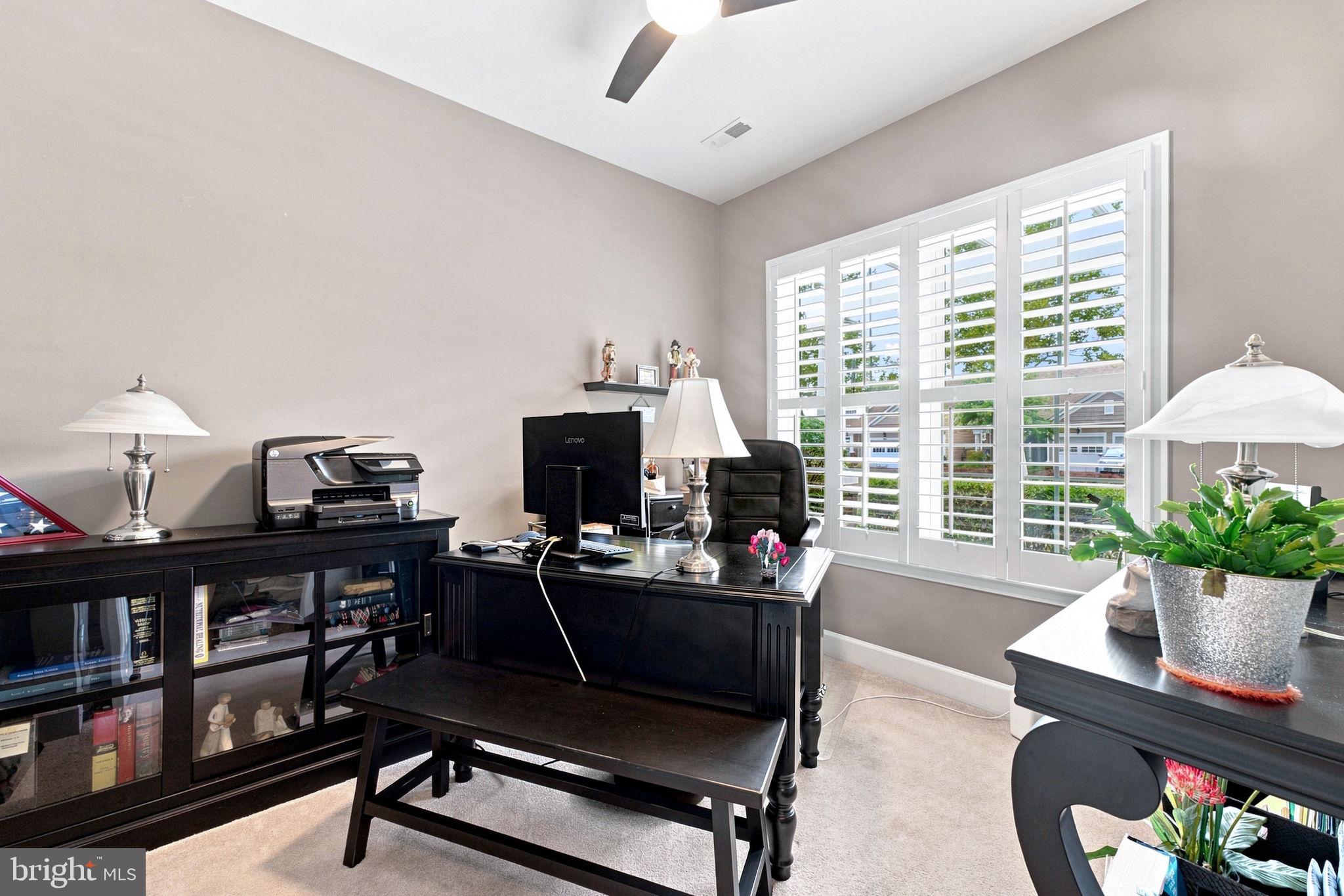 8404 MOUNTAIN LARKSPUR