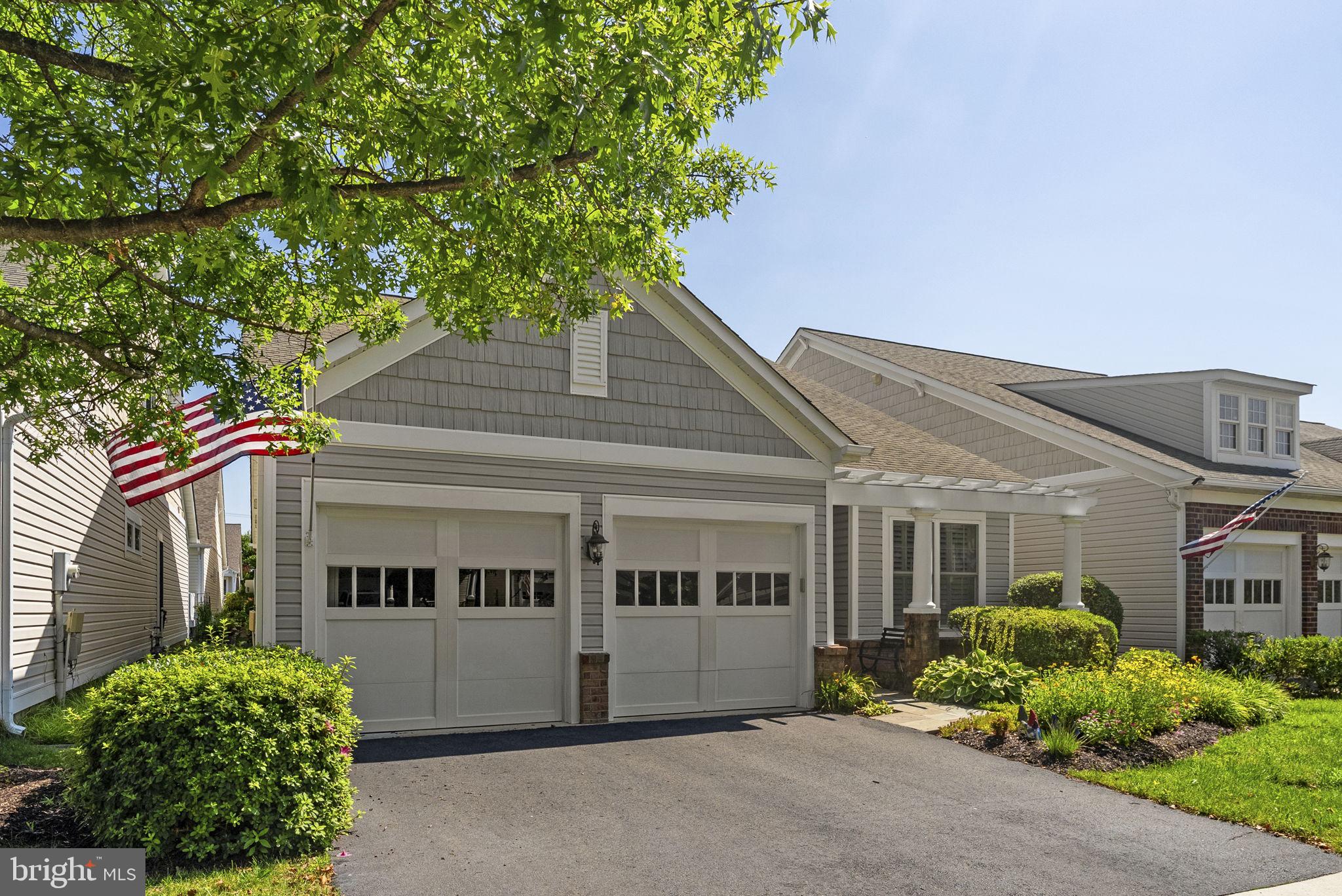 8404 MOUNTAIN LARKSPUR