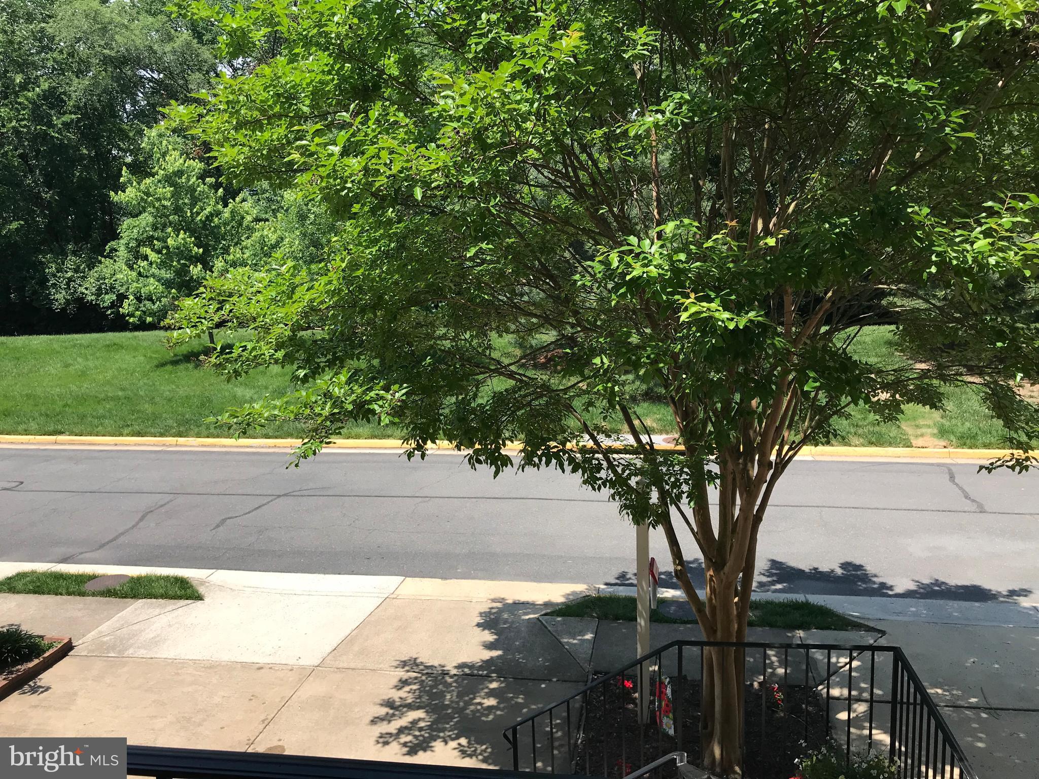 ELMWOOD - Residential