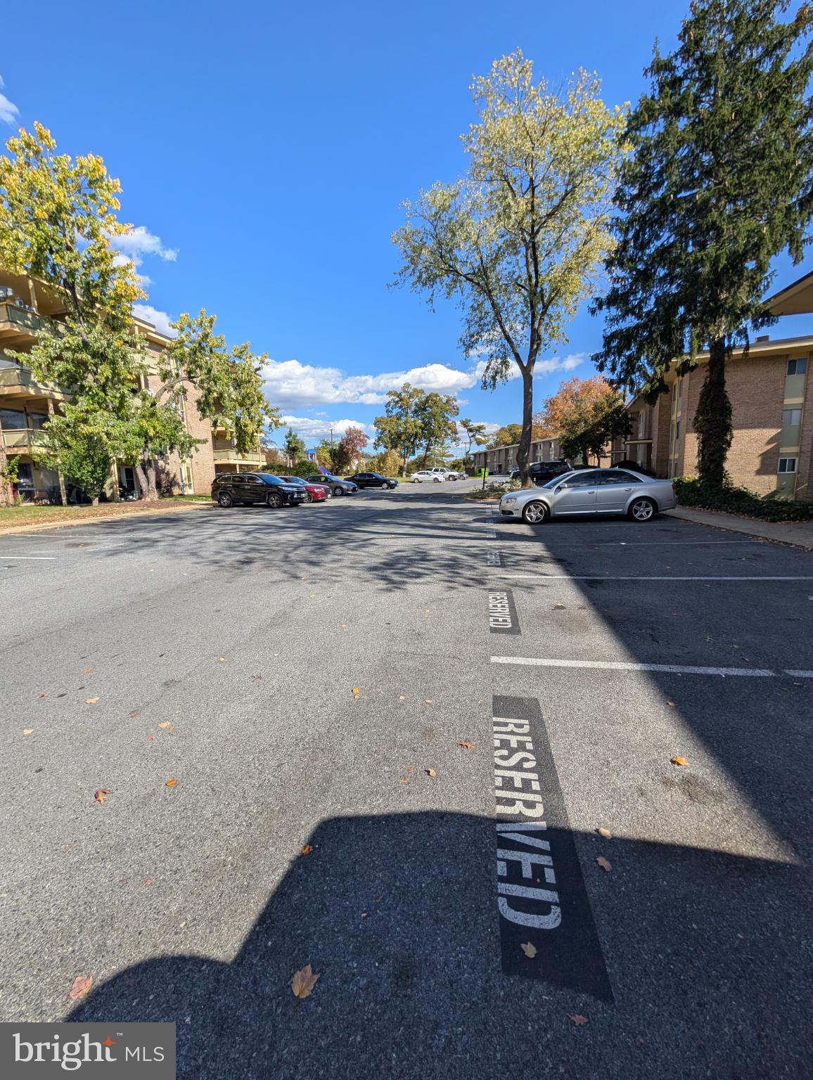 HOLLY HILL - Residential Lease