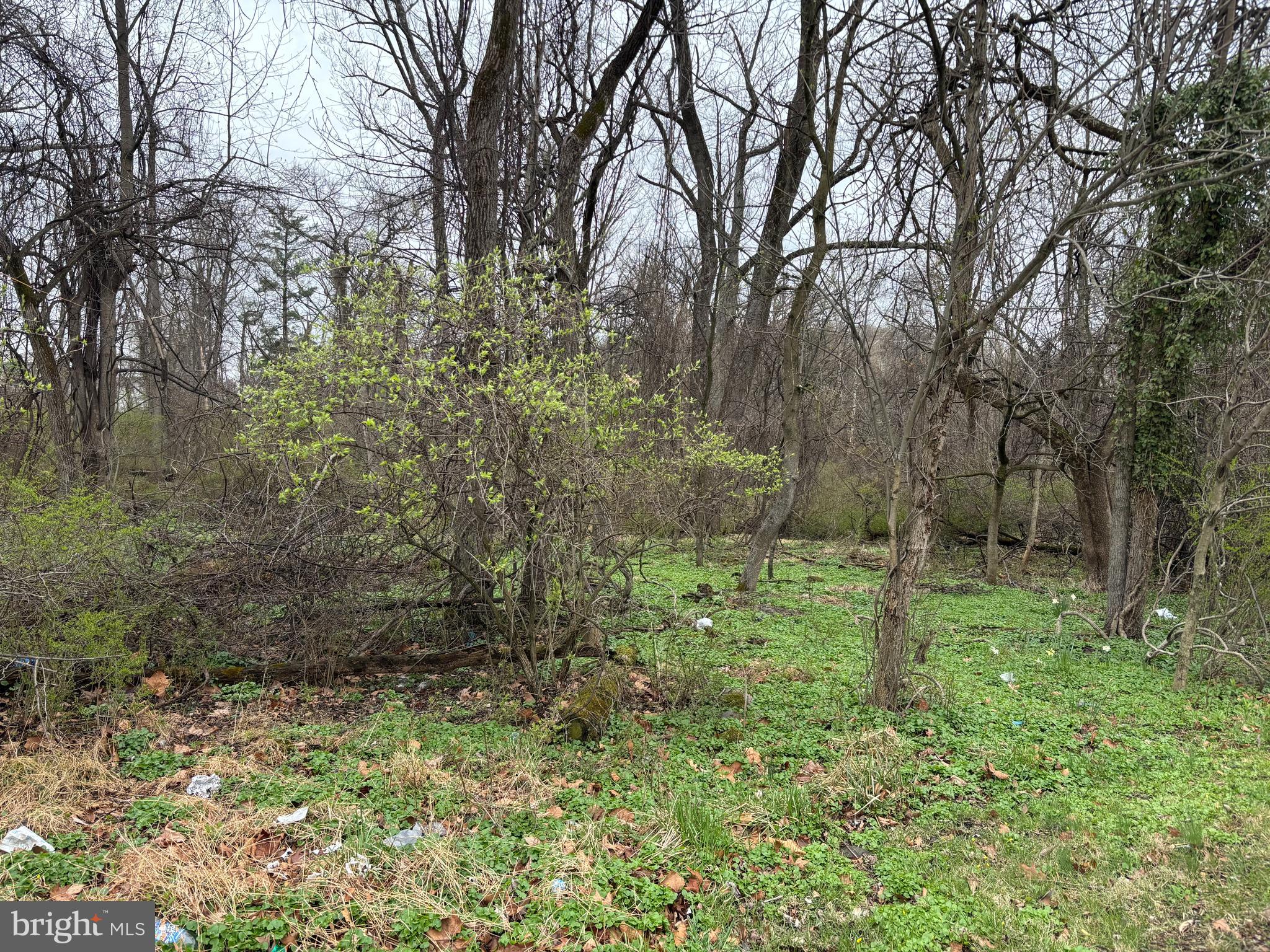 925 MILFORD MILL ROAD