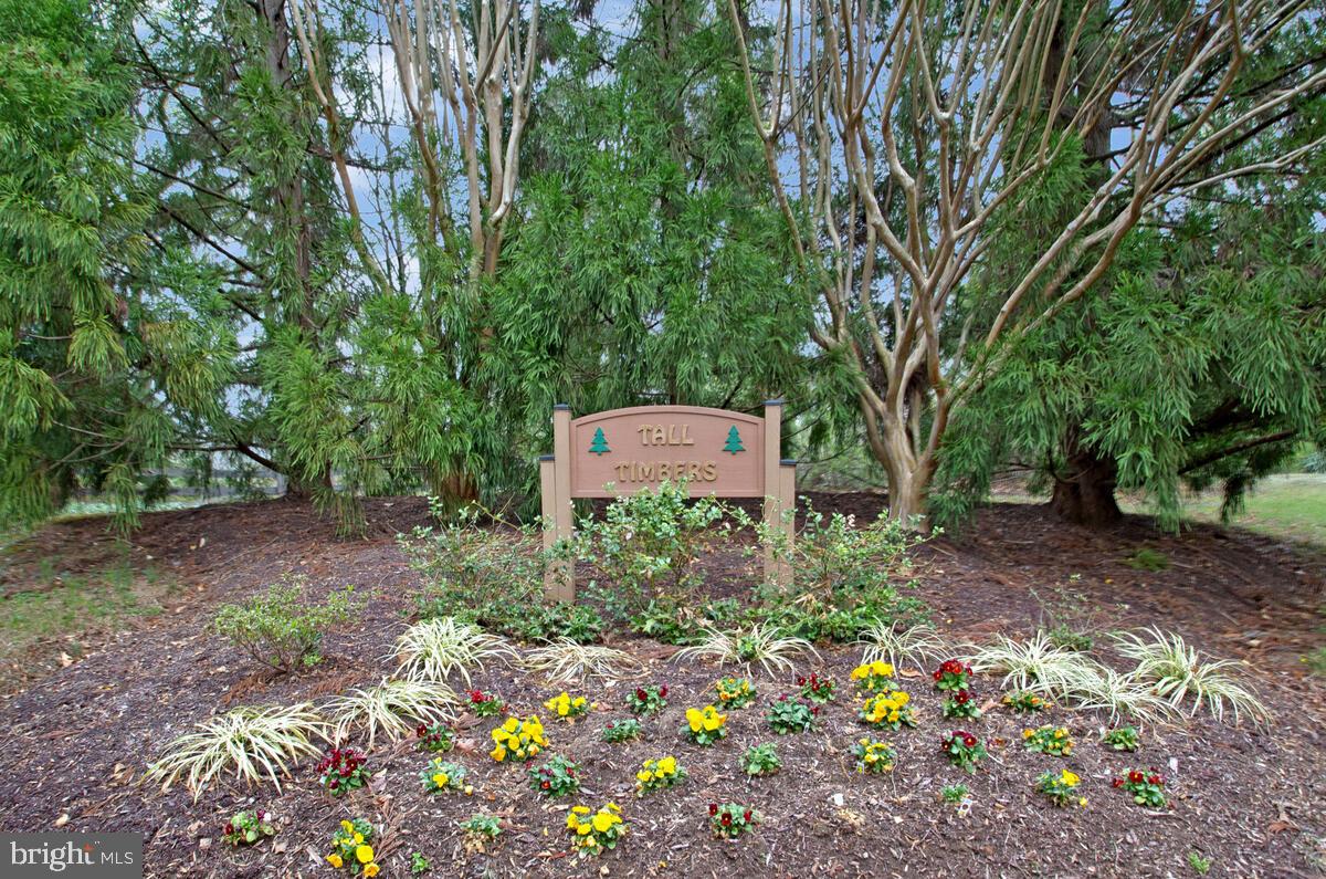 TALL TIMBERS - Residential