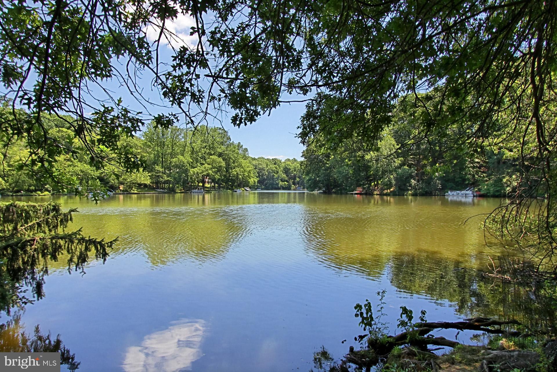 LAKE BARCROFT - Residential