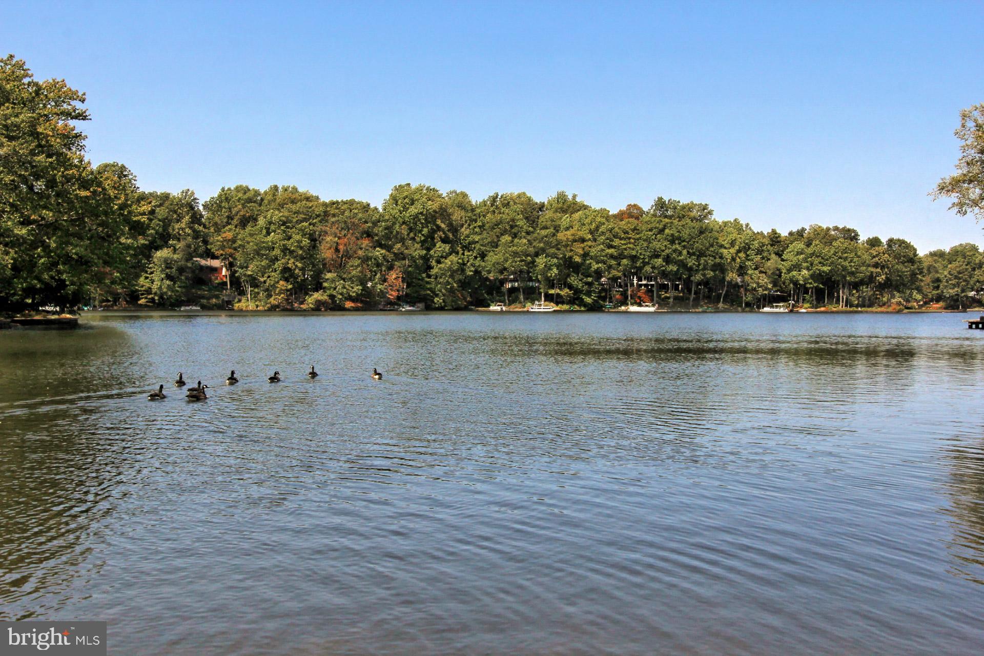 LAKE BARCROFT - Residential