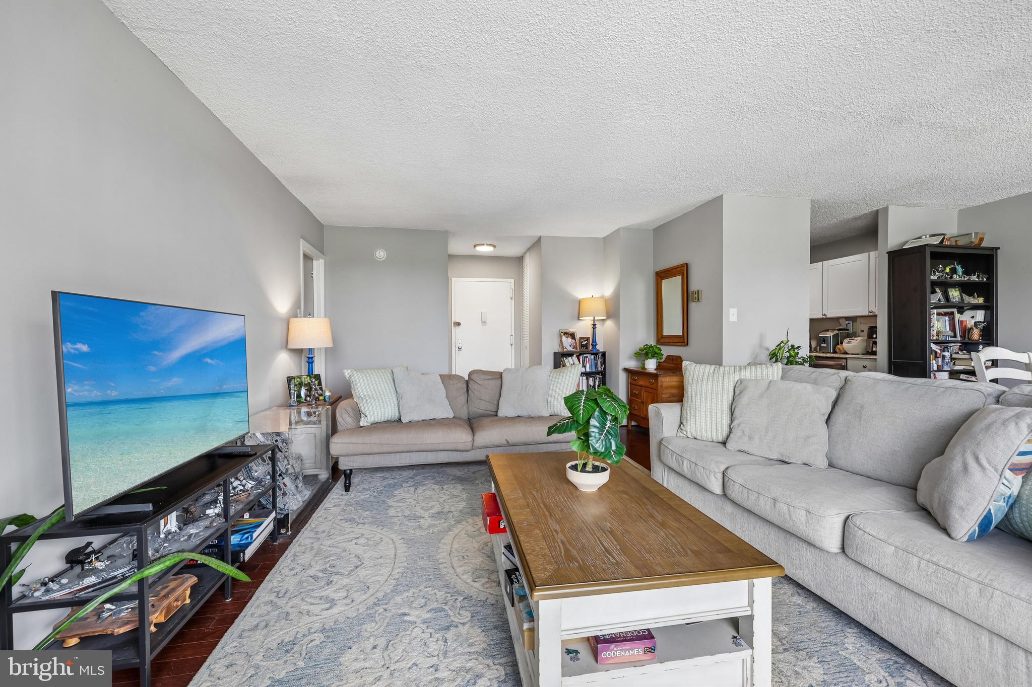 1225 MARTHA CUSTIS DRIVE 216