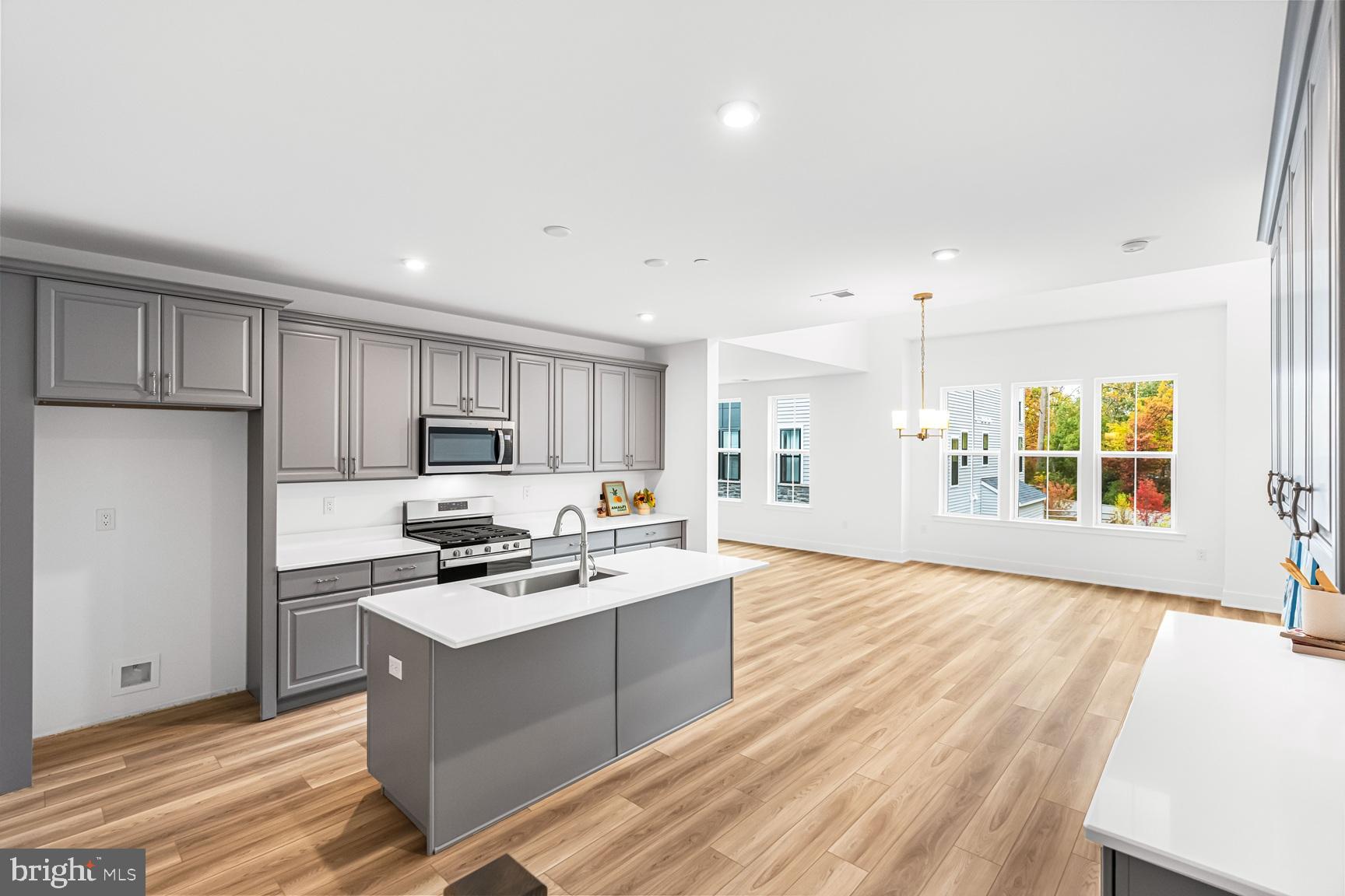 MERIDIAN WALK AT PRINCETON - Residential