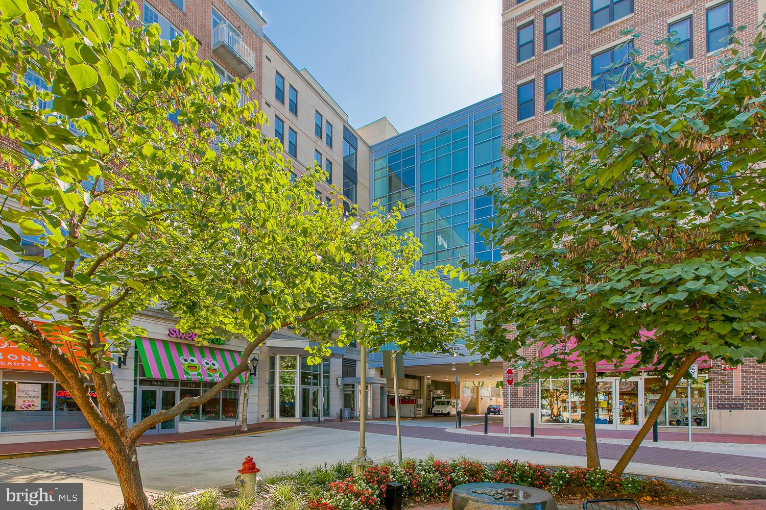 444 W BROAD STREET W 307