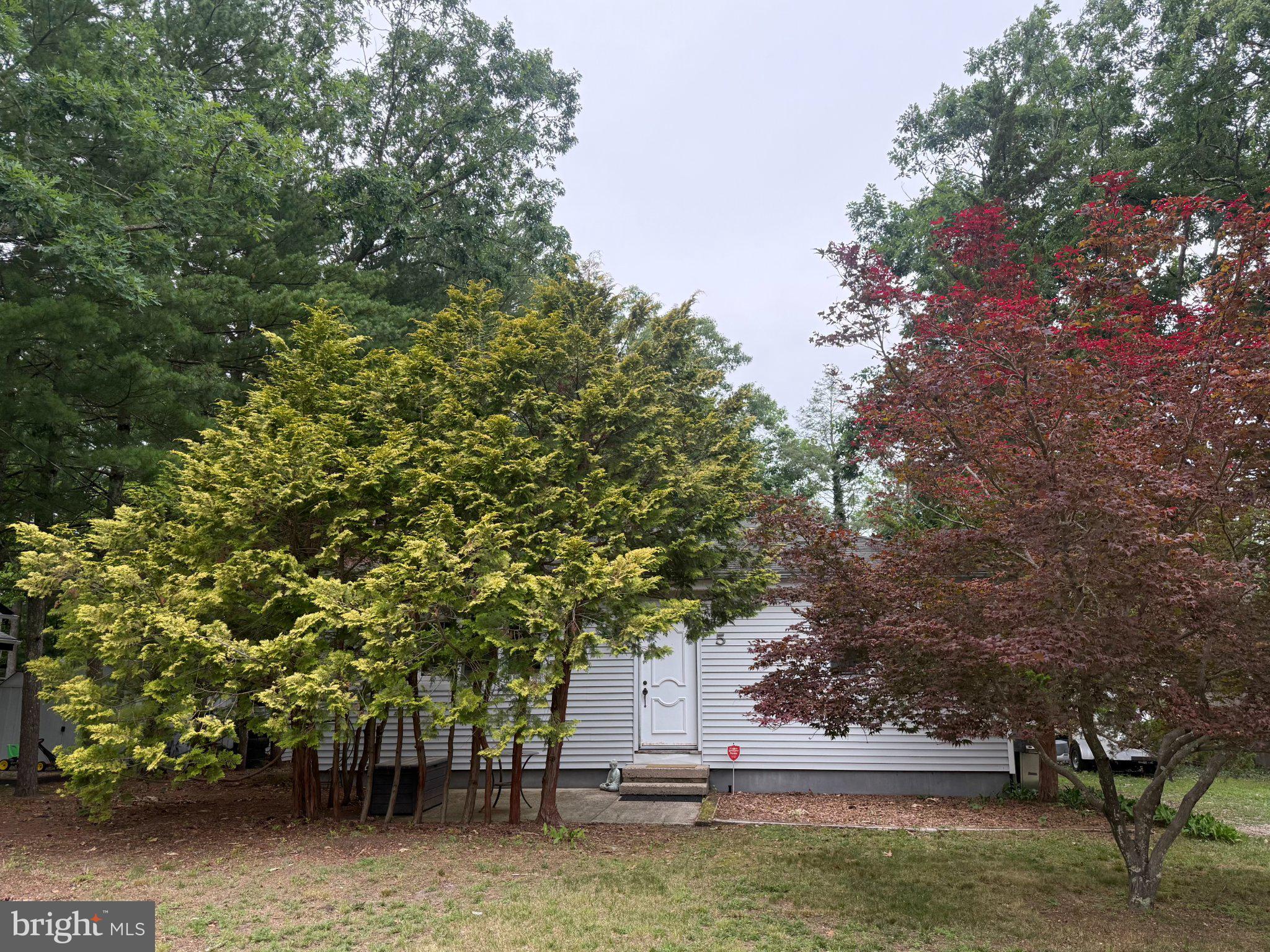 5 WOODLAND AVENUE